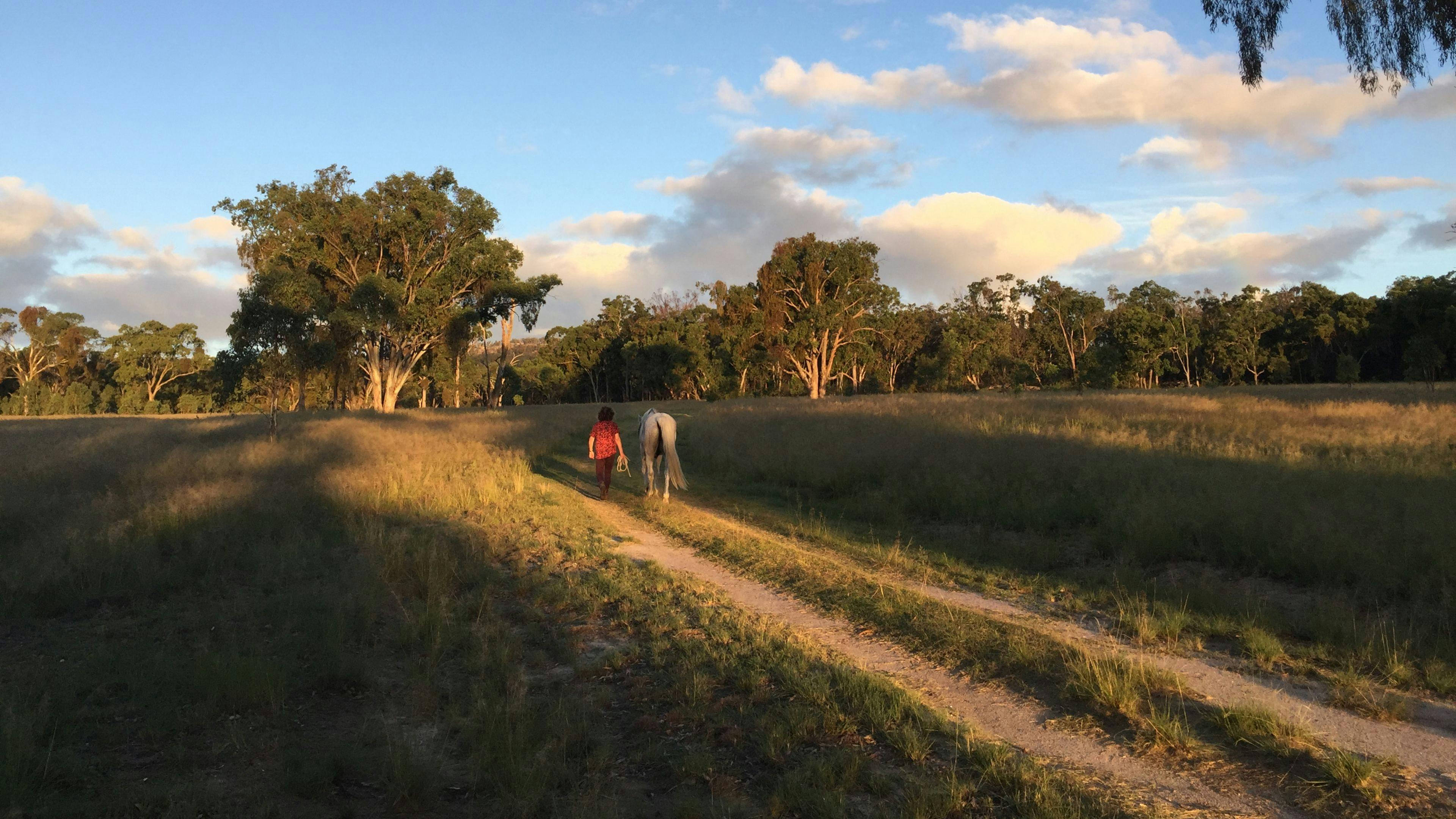 Jennings Tranquil Country Camp