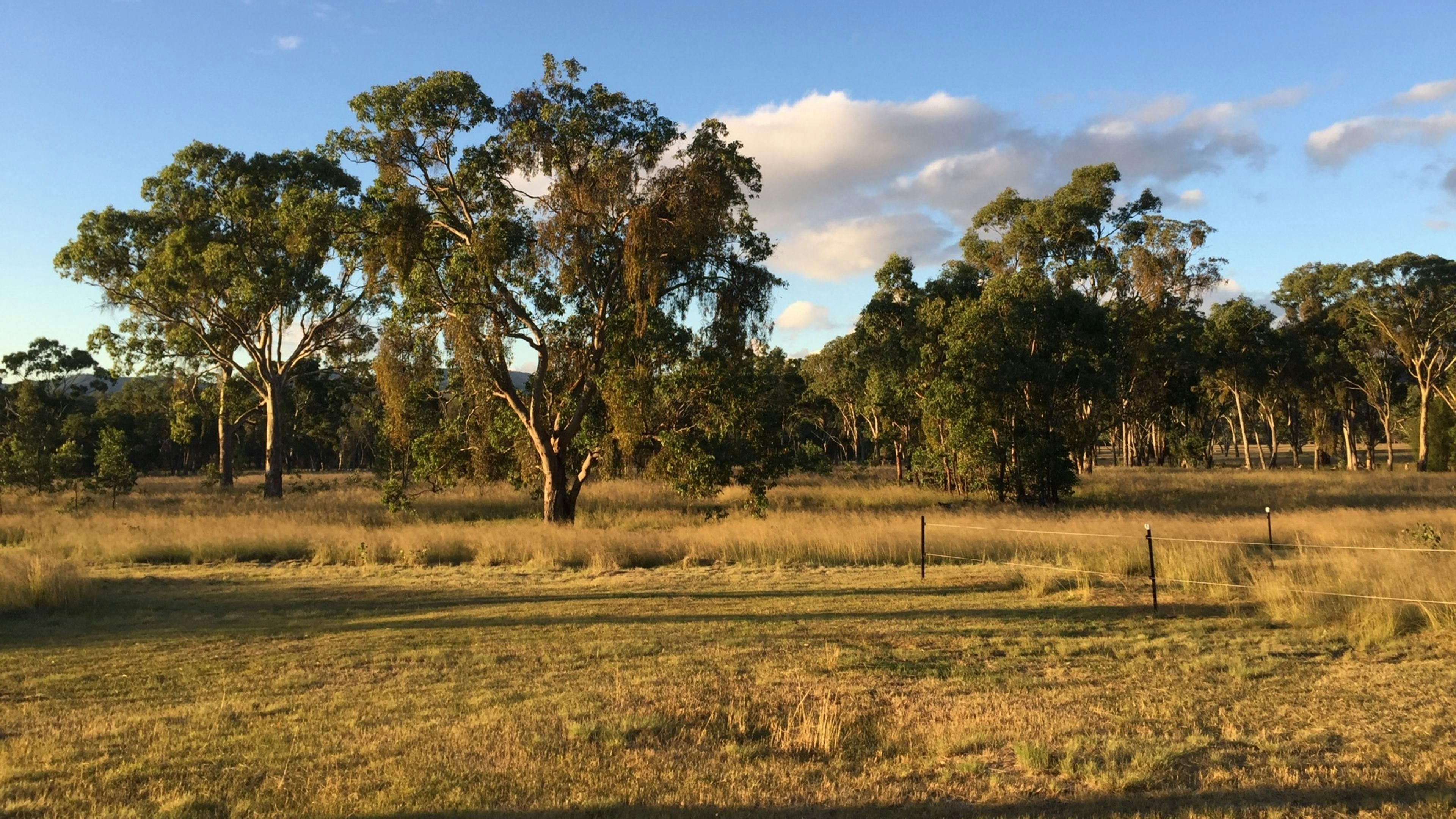 Jennings Tranquil Country Camp