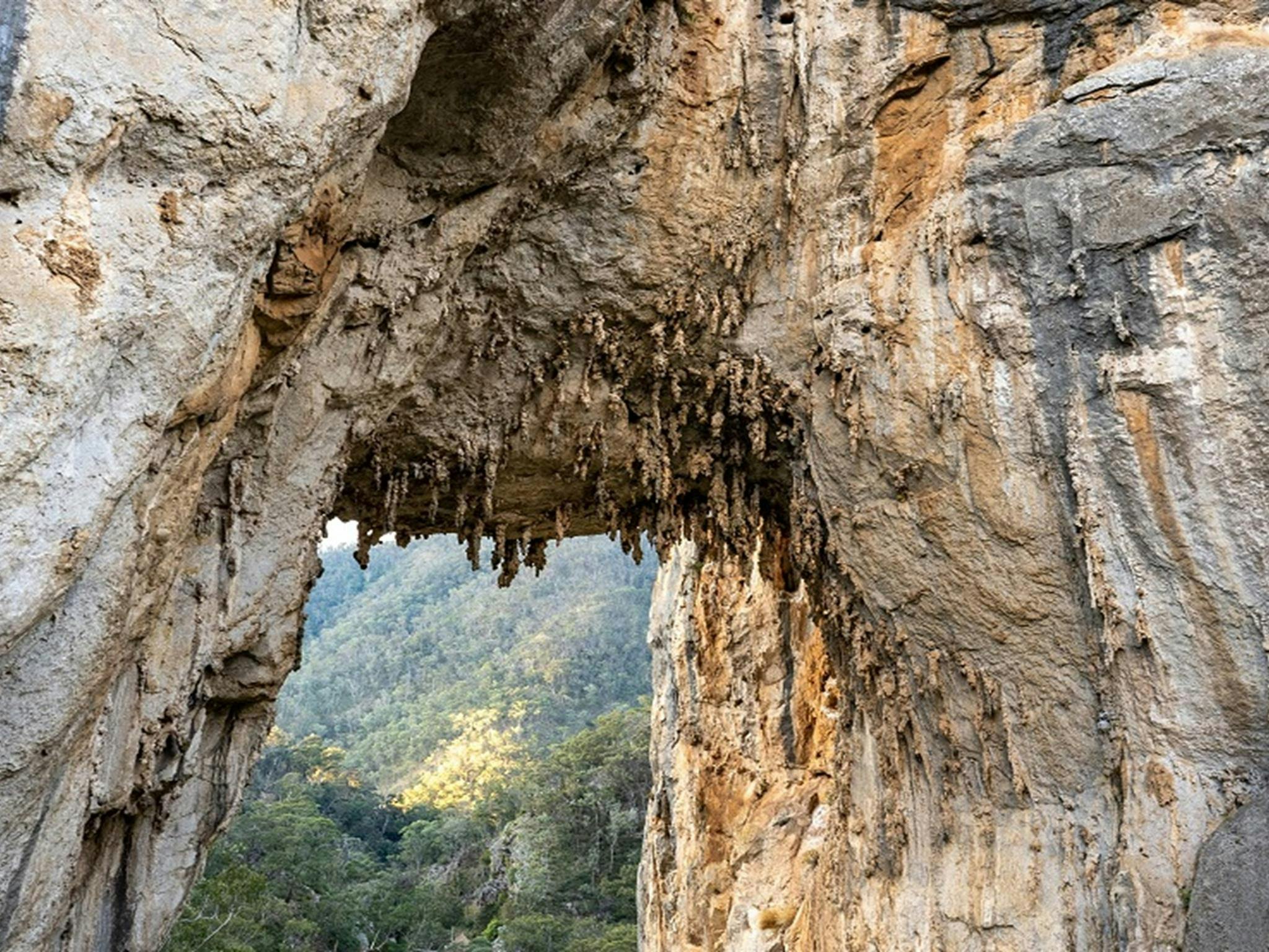 Jenolan Karst Conservation Reserve