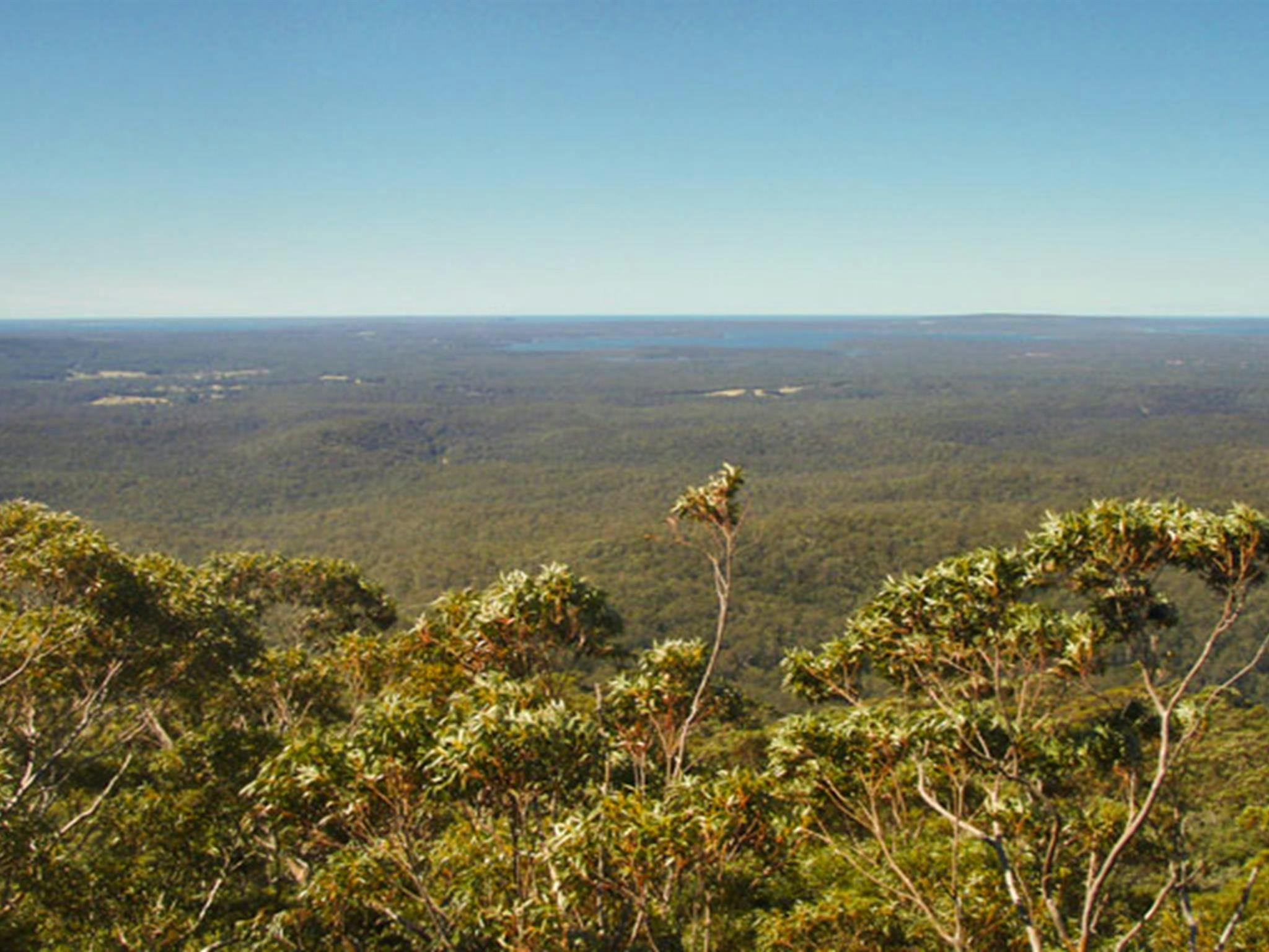 Jerrawangala Lookout, Jerrawangala National Park. Photo: R Phelps/NSW Government
