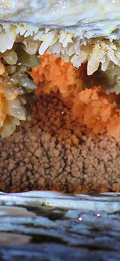 Jersey Cave decorations, at Yarrangobilly Caves in Kosciuszko National Park. Photo: Elinor Sheargold
