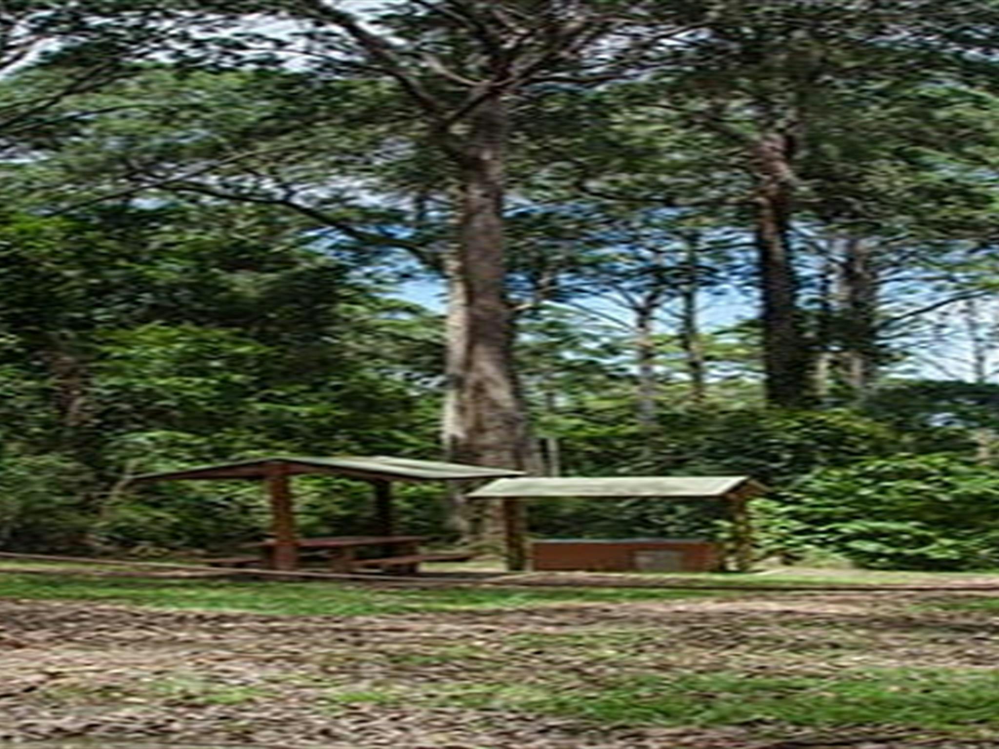 エルサレムクリークピクニックエリア