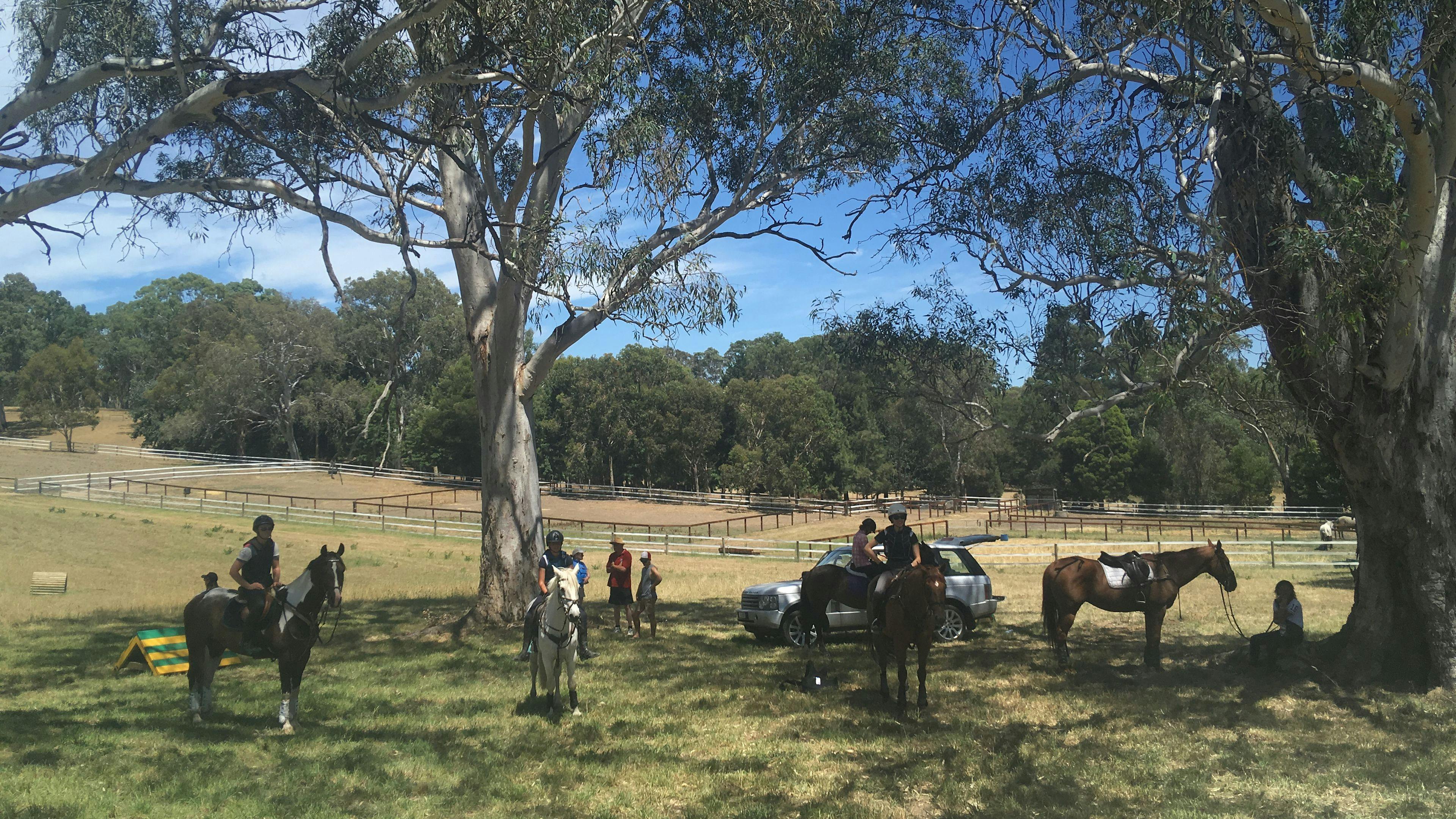 Hallmark Farm Equine Retreat