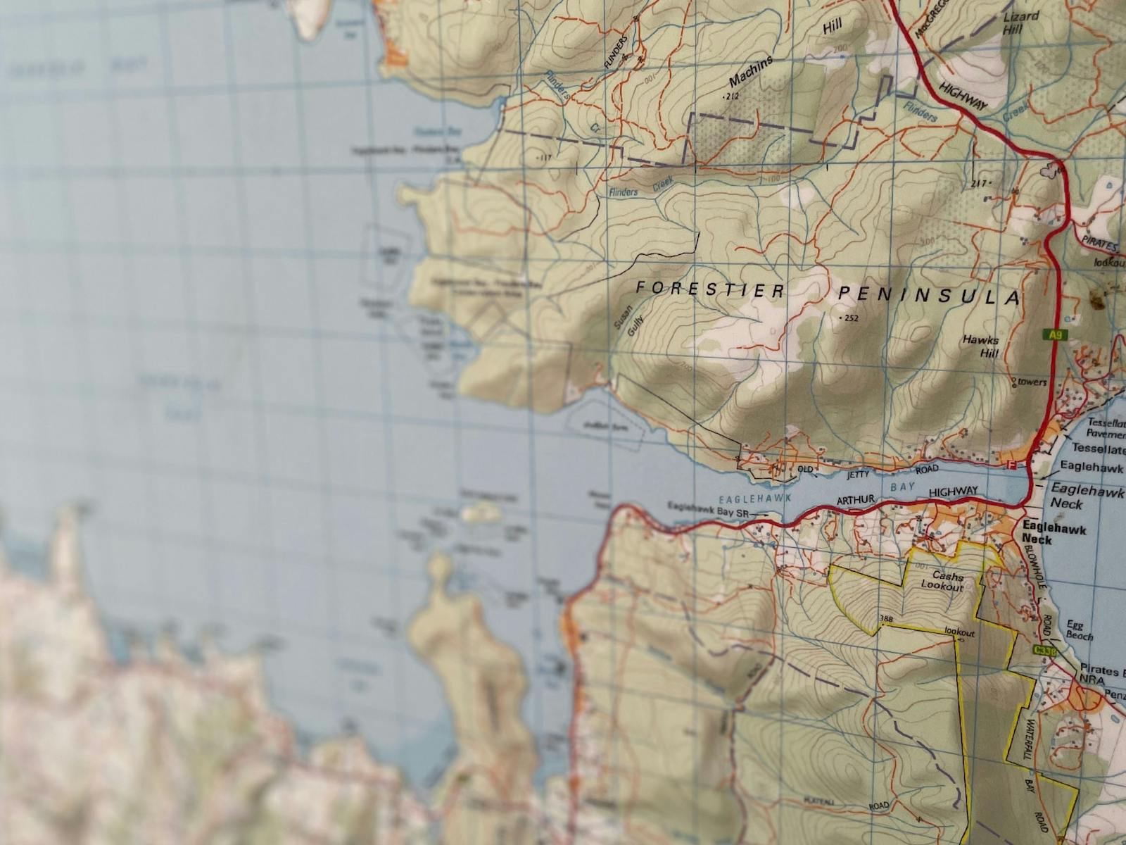 Sea Cliff Lookout Bus