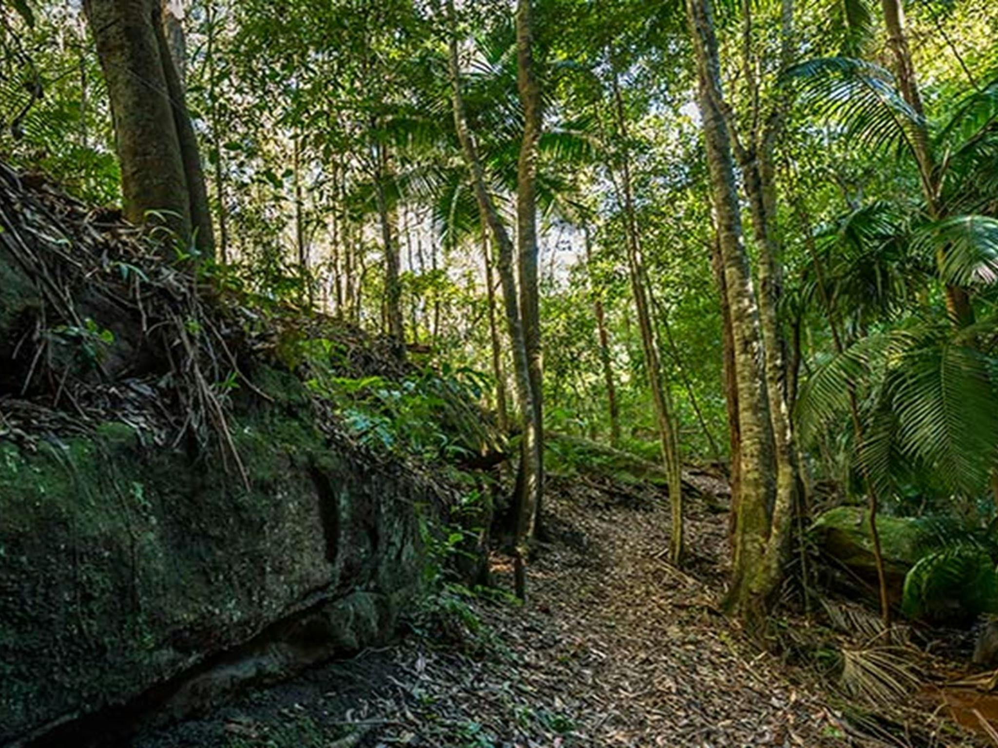 Jilliby State Conservation Area. Photo: John Spencer/OEH