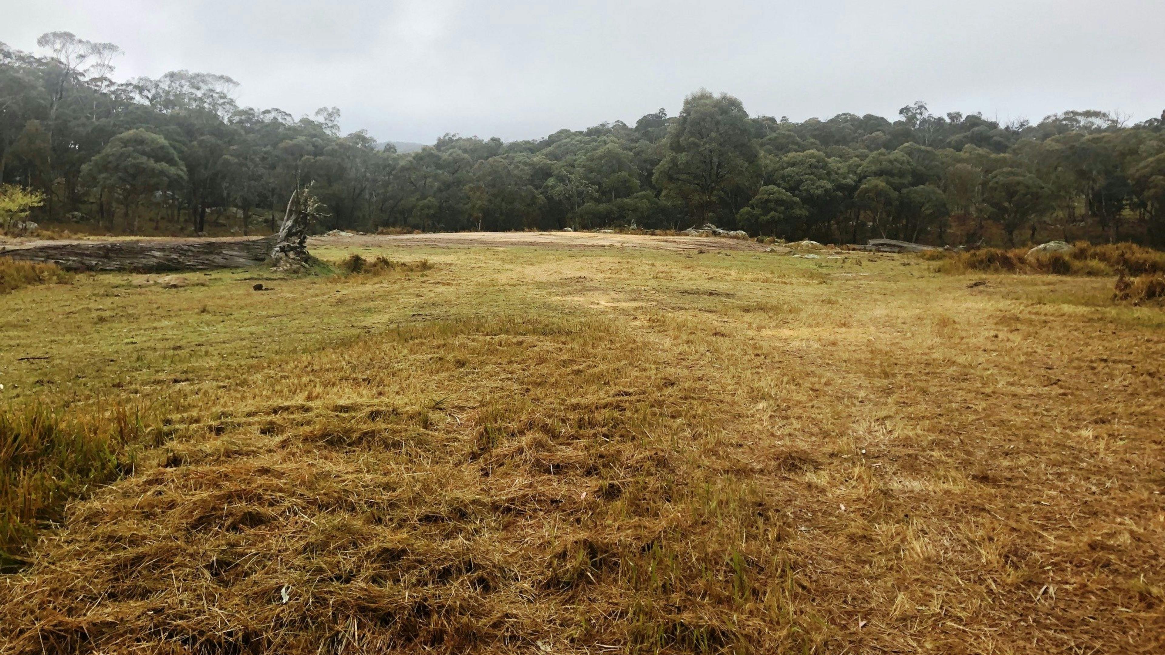 Prepared parking spot.