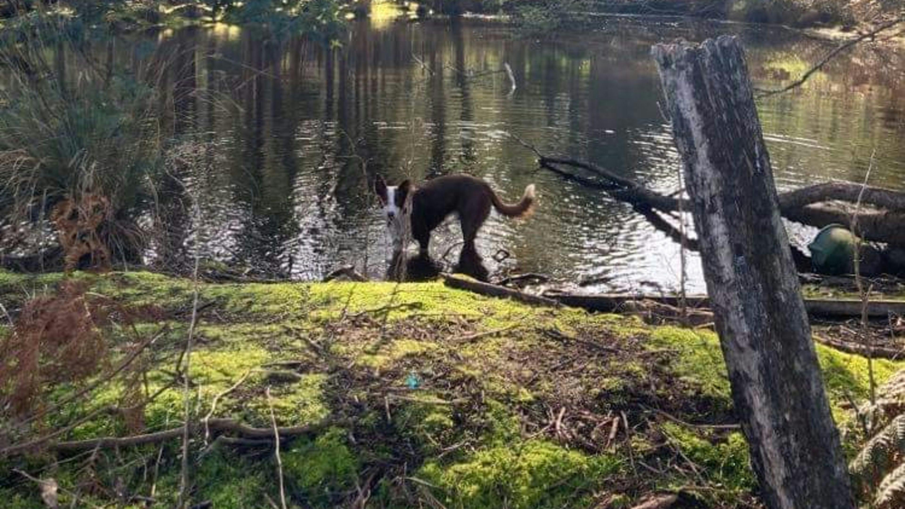 Hobart Hills Hide Out