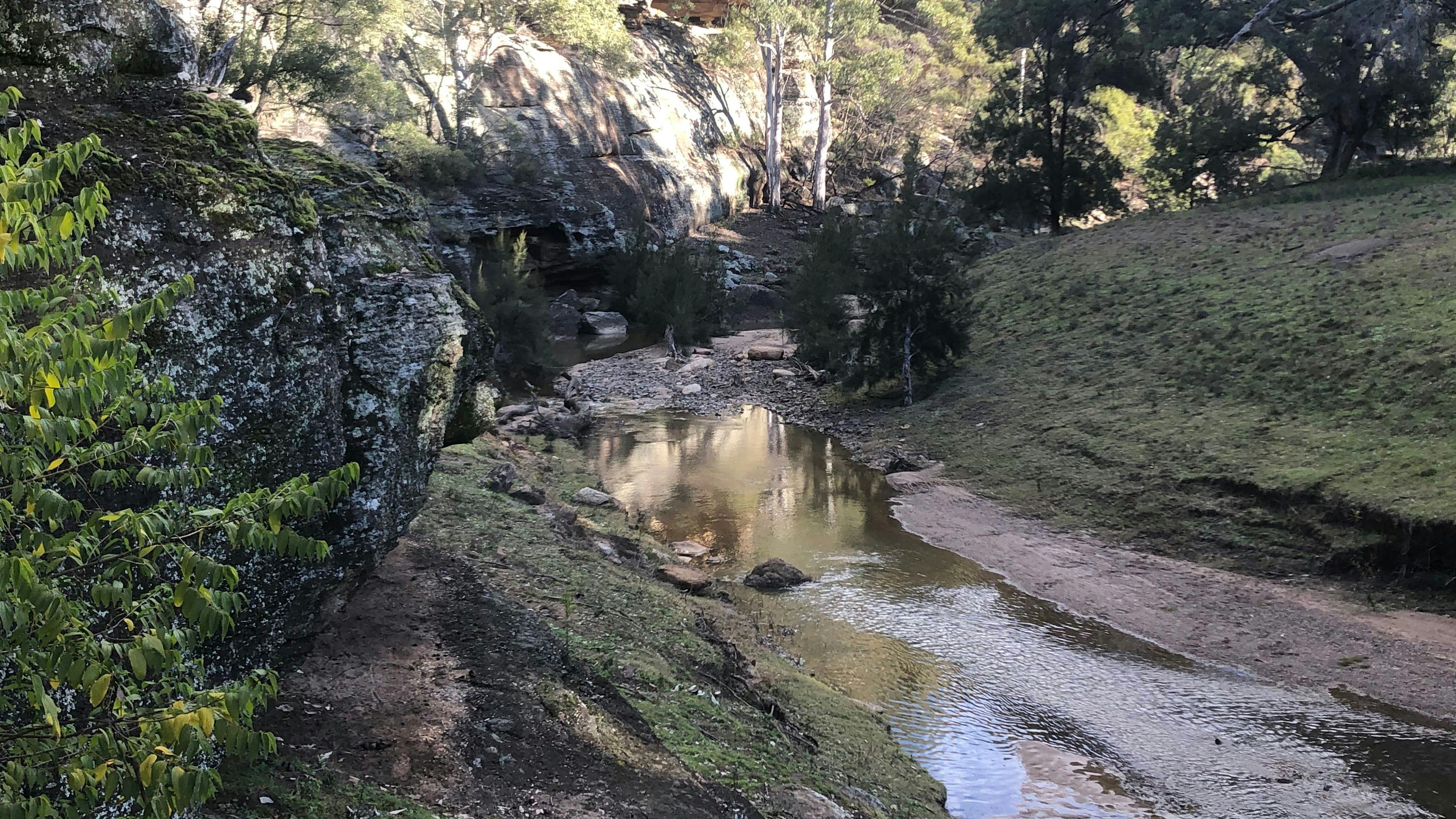 Hillside Camp on Bow River