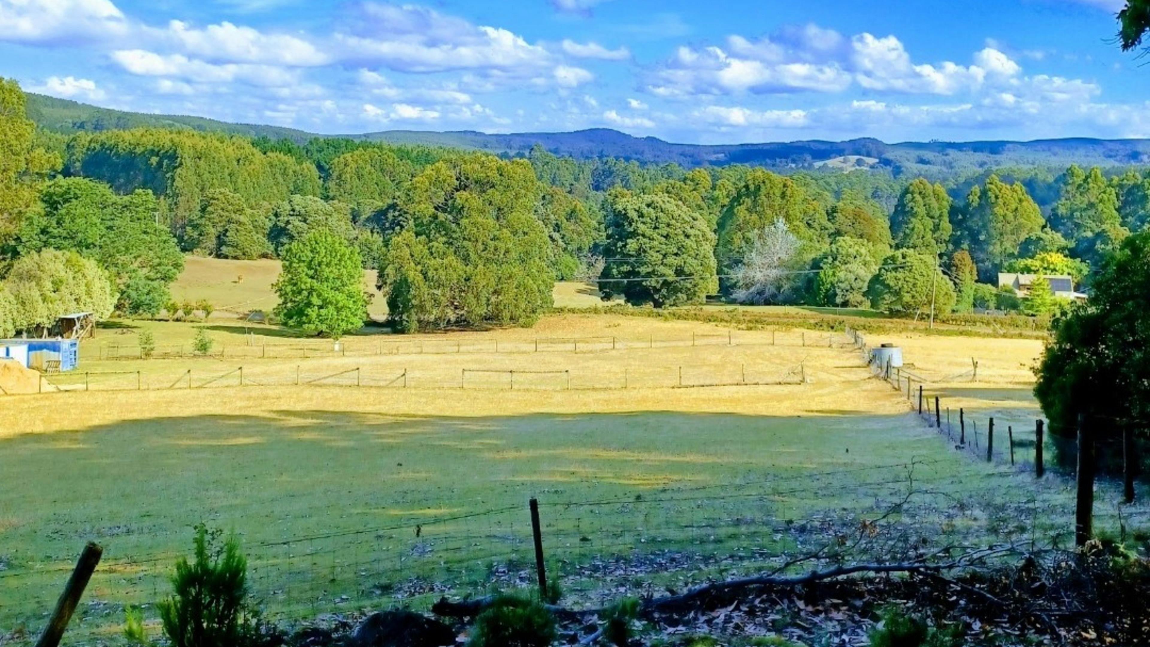 Jarek Springs Shangrila