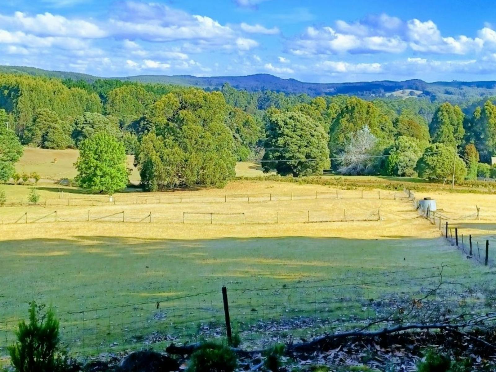 Jarek Springs Shangrila