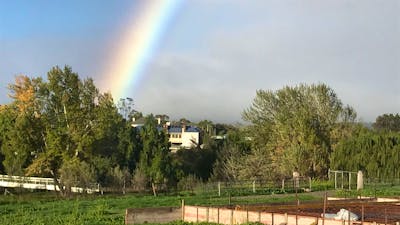 Two minutes walk across pedestrian bridge to cafes and boutique shops