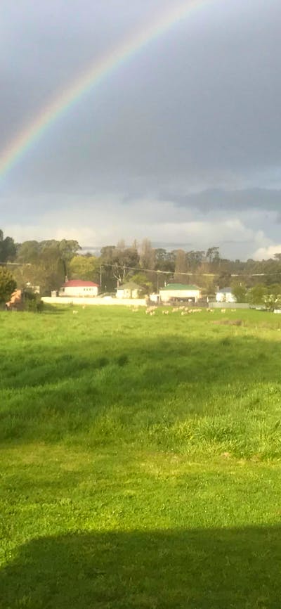 Site offers easy access through double gates - reasonably level ground.
Sadly Xavier, the alpaca, recently died of old age so he won't be a camping companion.