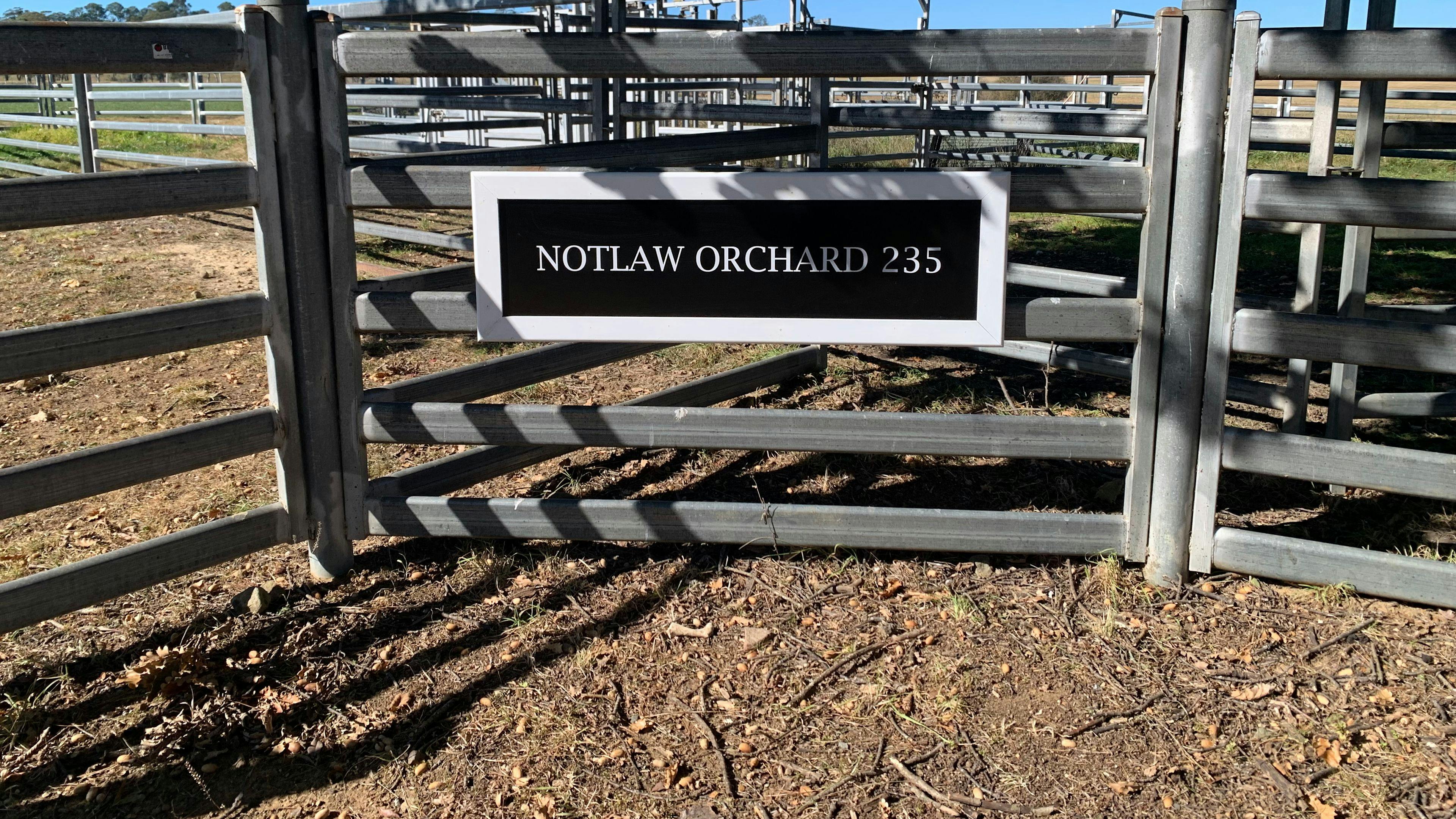 Joadja Notlaw Orchard