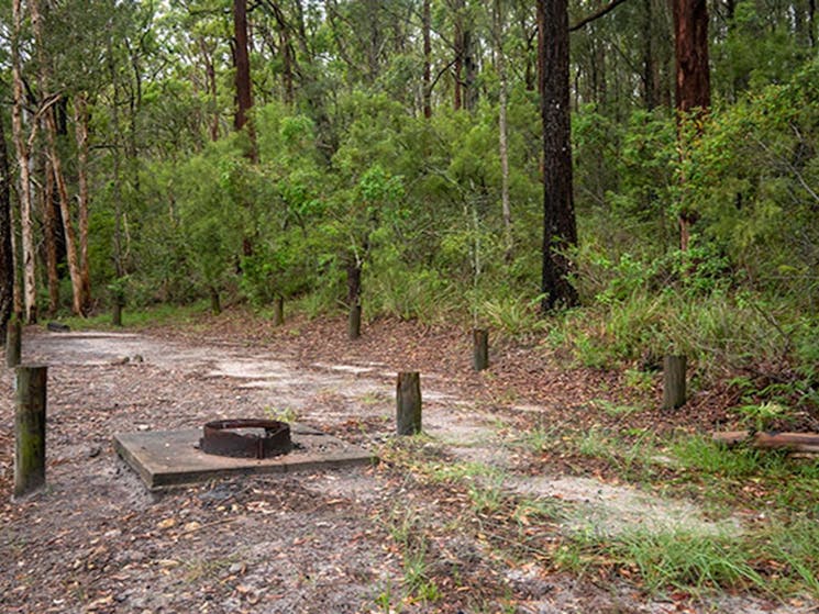 A fire ring at 1 of the 2 campsites in Joes Cove campground, Myall Lakes National Park. Photo: John