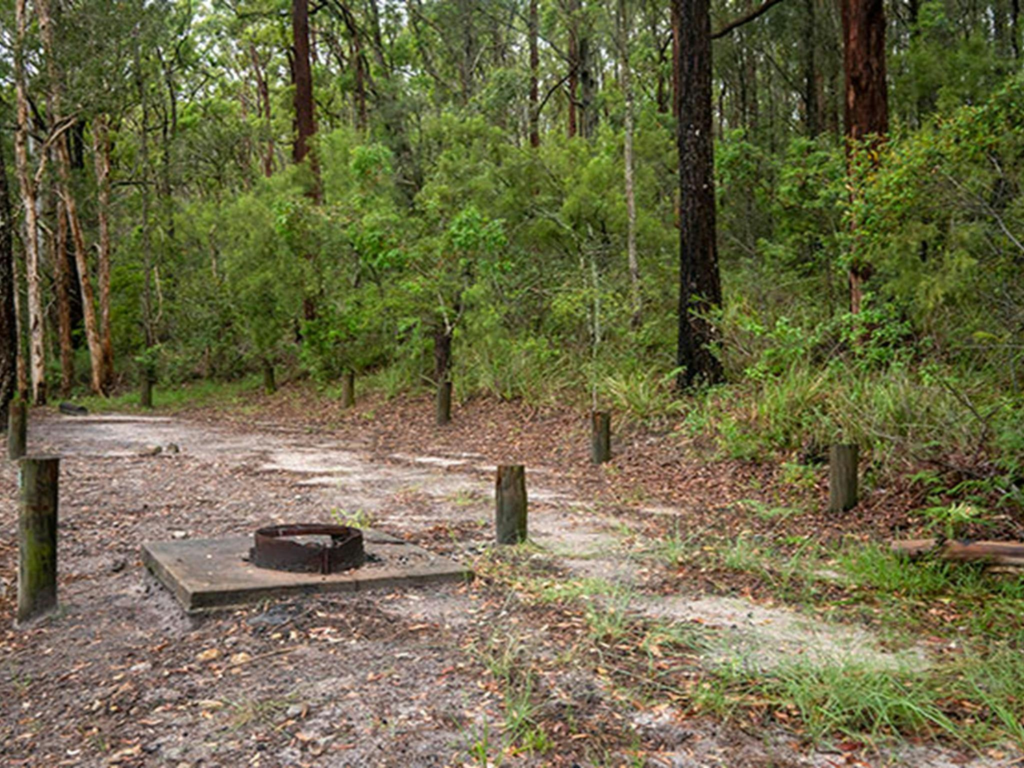 Eine Feuerstelle auf einem der beiden Campingplätze im Joes Cove Campground im Myall Lakes Nationalpark. Foto: John