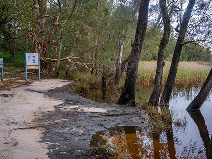 Lakeside signage at Joes Cove campground set amongst trees in Myall Lakes National Park. Photo: John