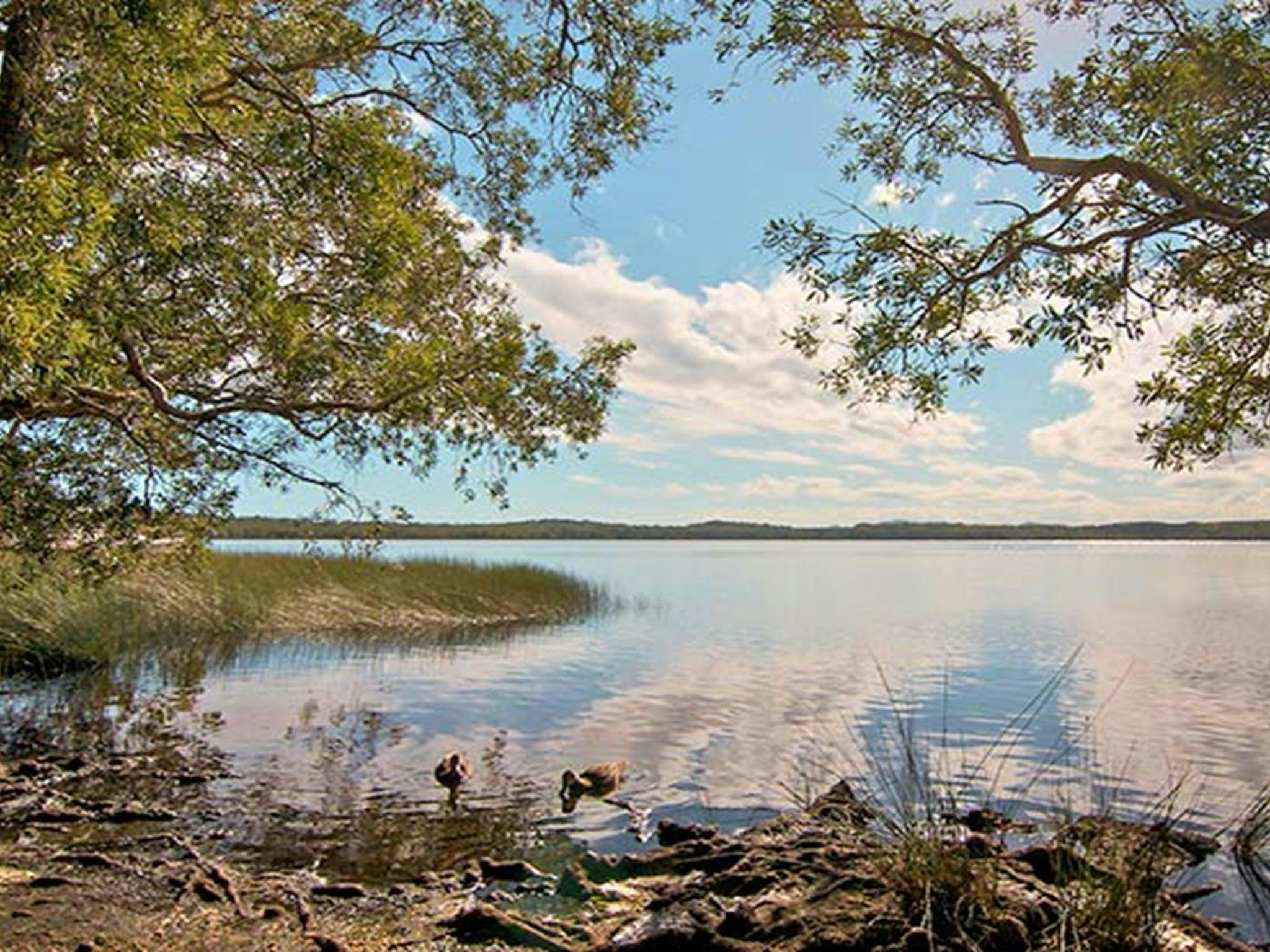 Johnsons Beach campground, Myall Lakes National Park. Photo: John Spencer/NSW Government