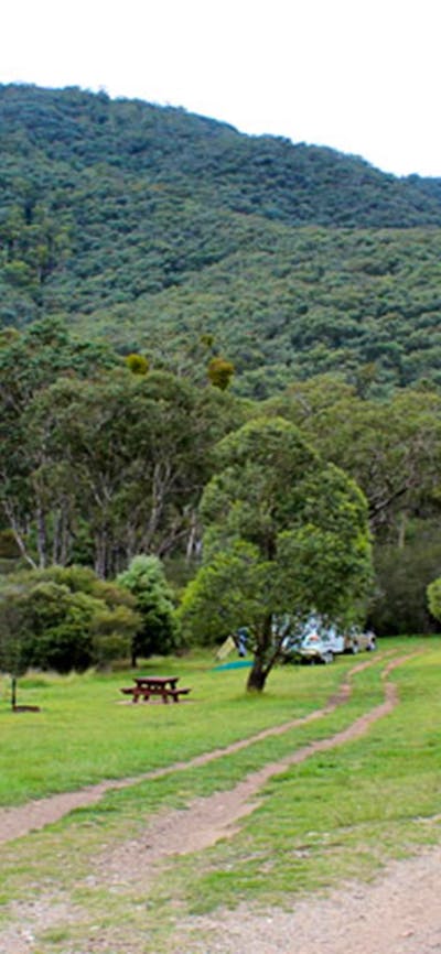 Jounama Creek campground, Kosciuszko National Park. Photo: Clint & Todd Wright/NSW Government