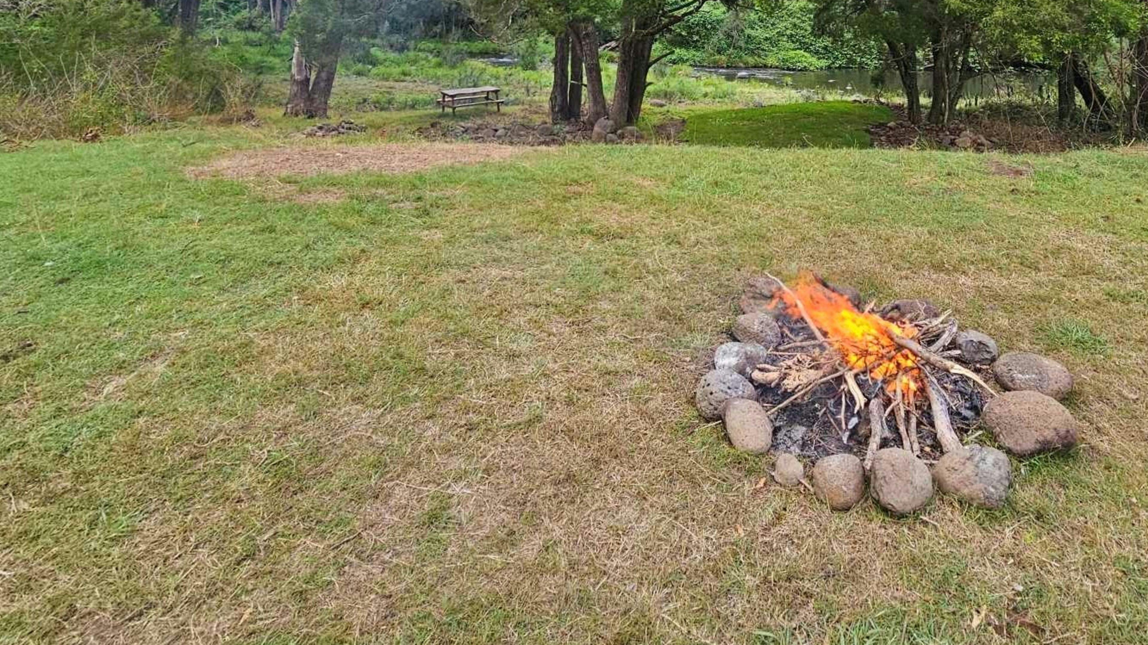 Sarabah Creek Camping