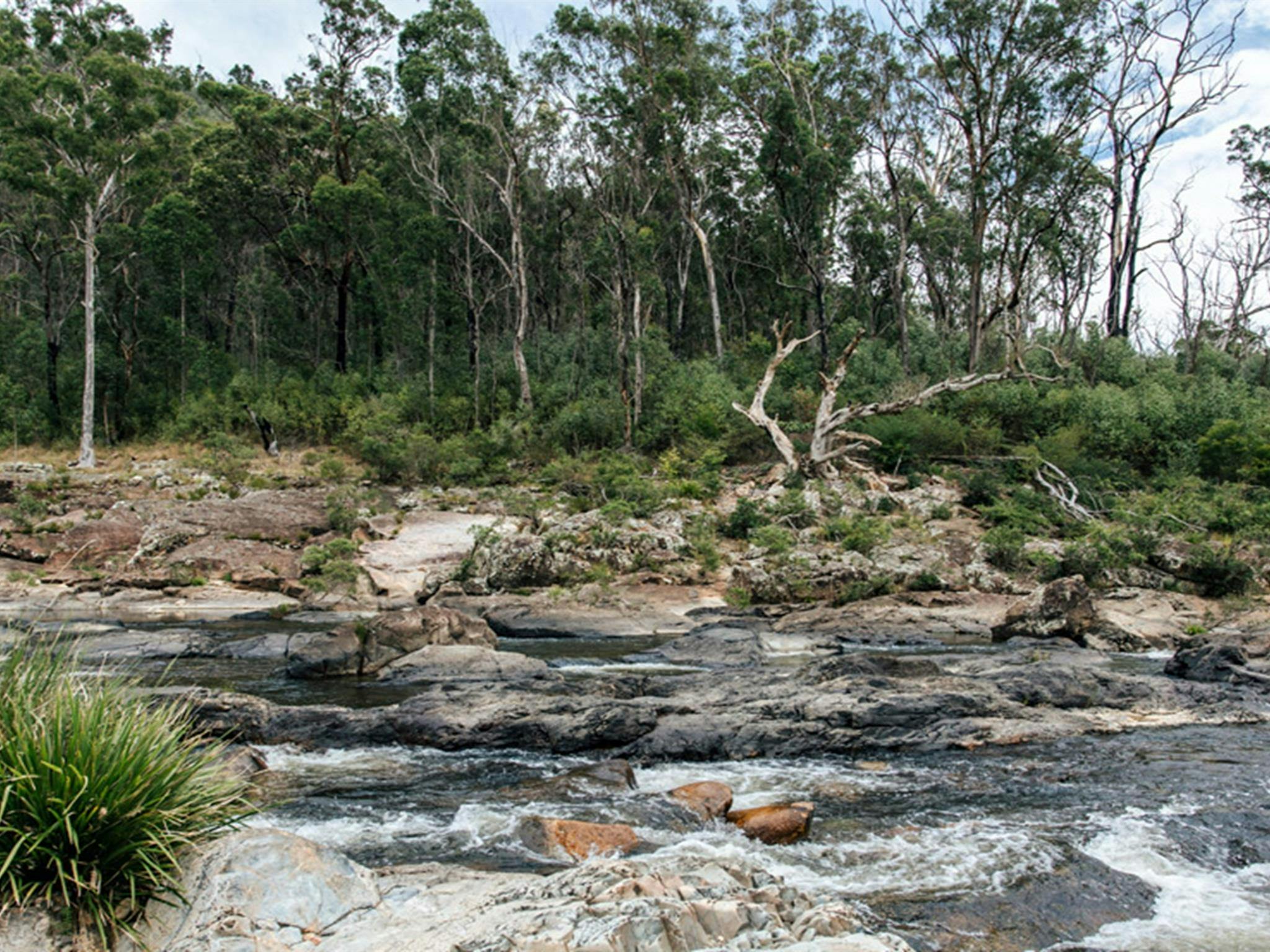 宁博伊-宾德雷国家公园的 Junction 露营地和宁博伊达河。照片：杰伊·布莱克