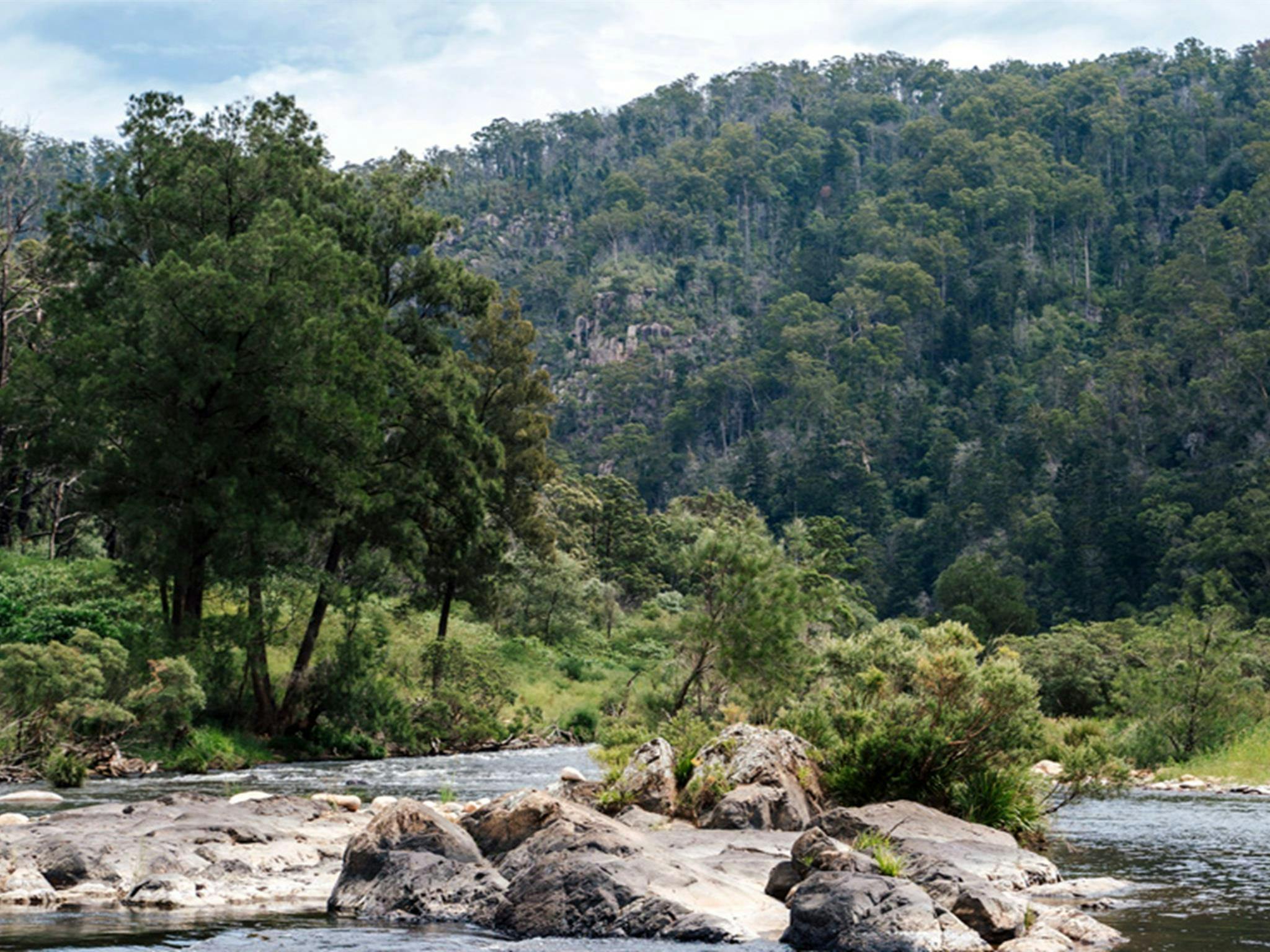 The Junction campground by Nymboida River in Nymboi-Binderay National park. Photo: Jay Clark &copy;
