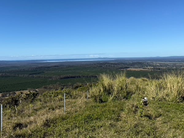 Coondoo Springs