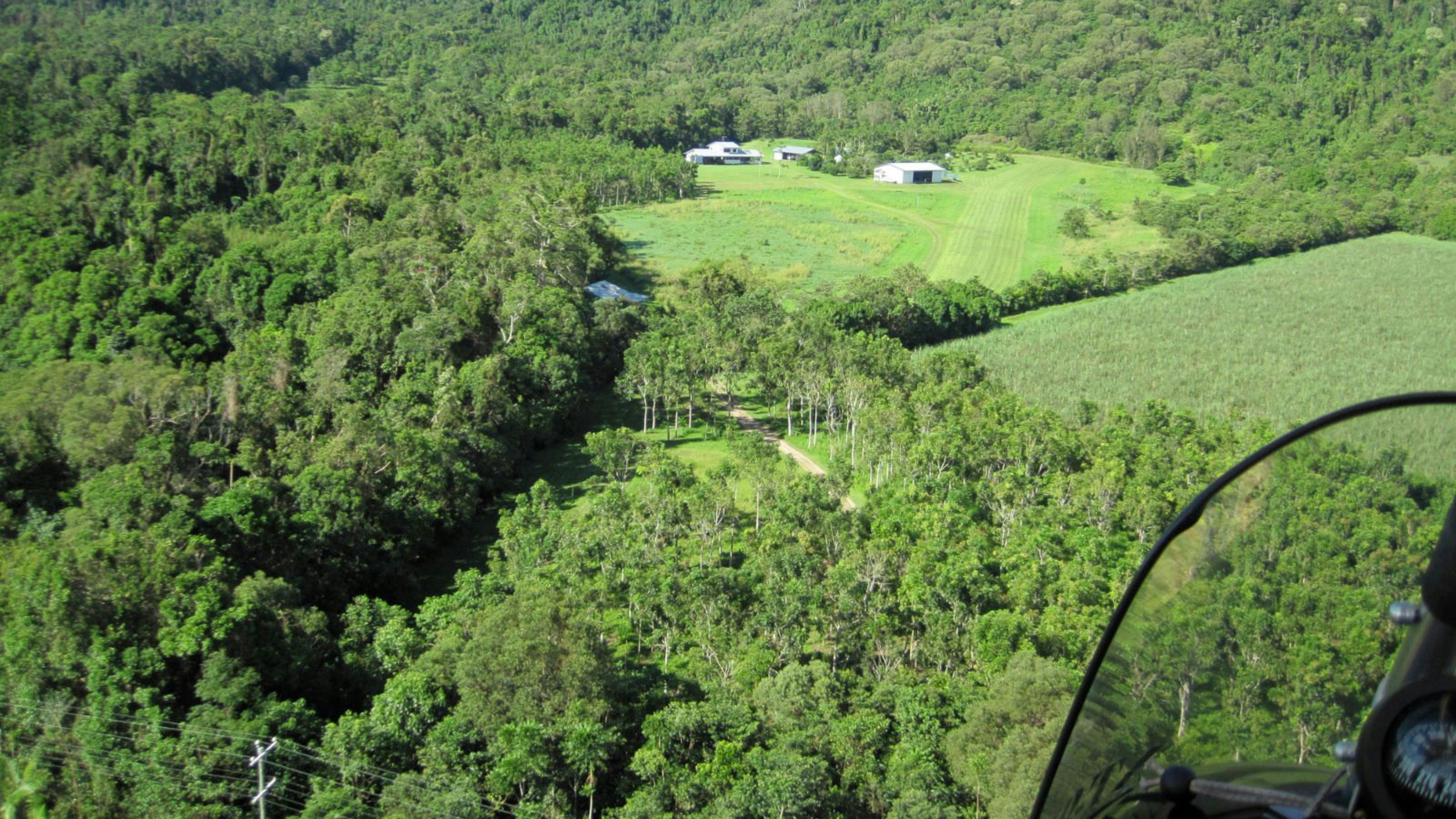 Rainforest Stream Near Cairns