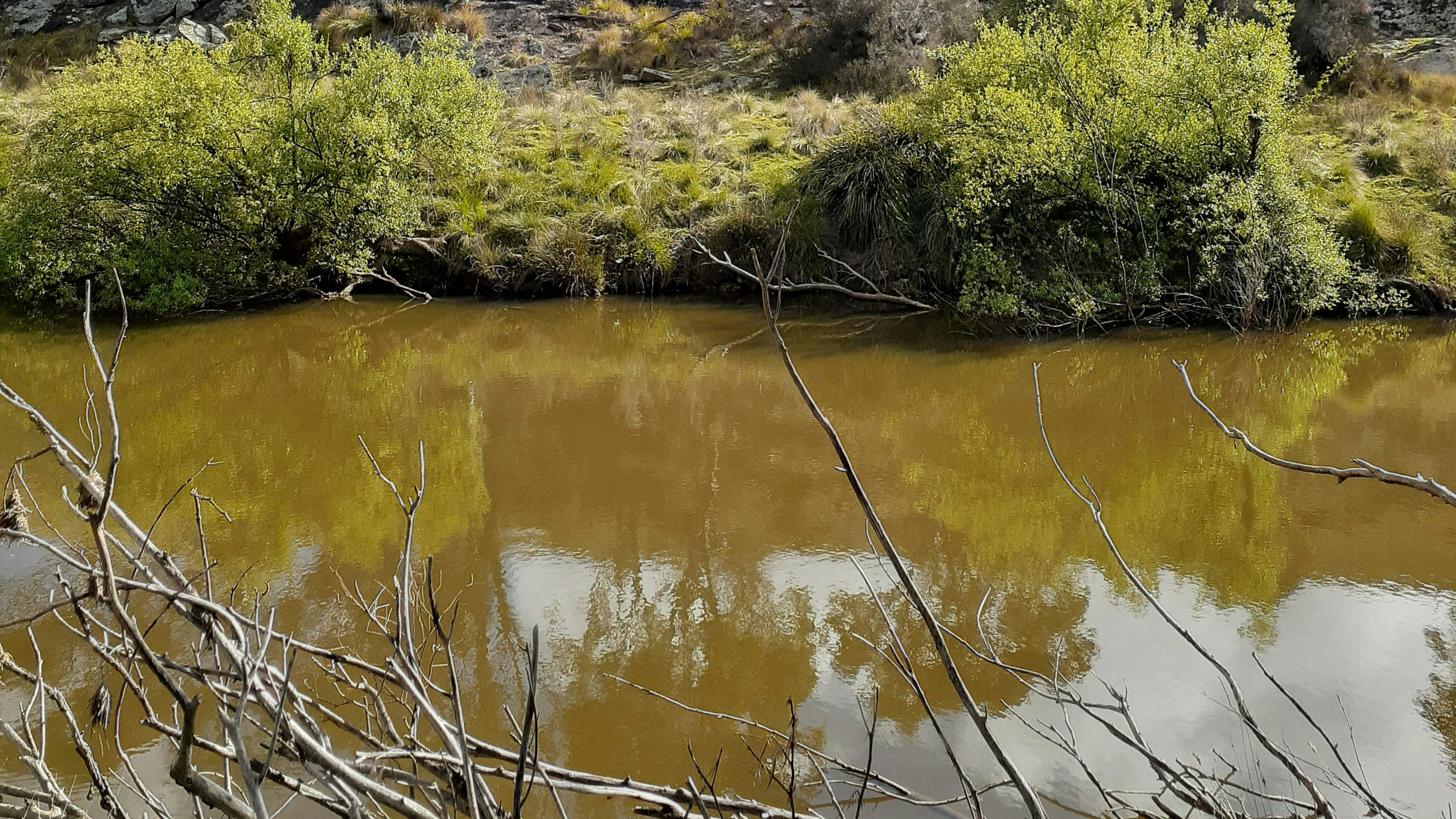 야스 강의 고립