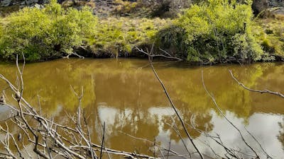 Yass River seclusion