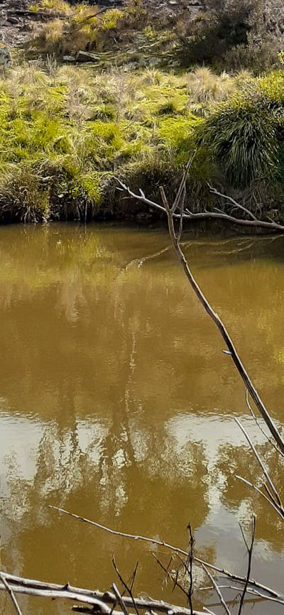 Yass River seclusion