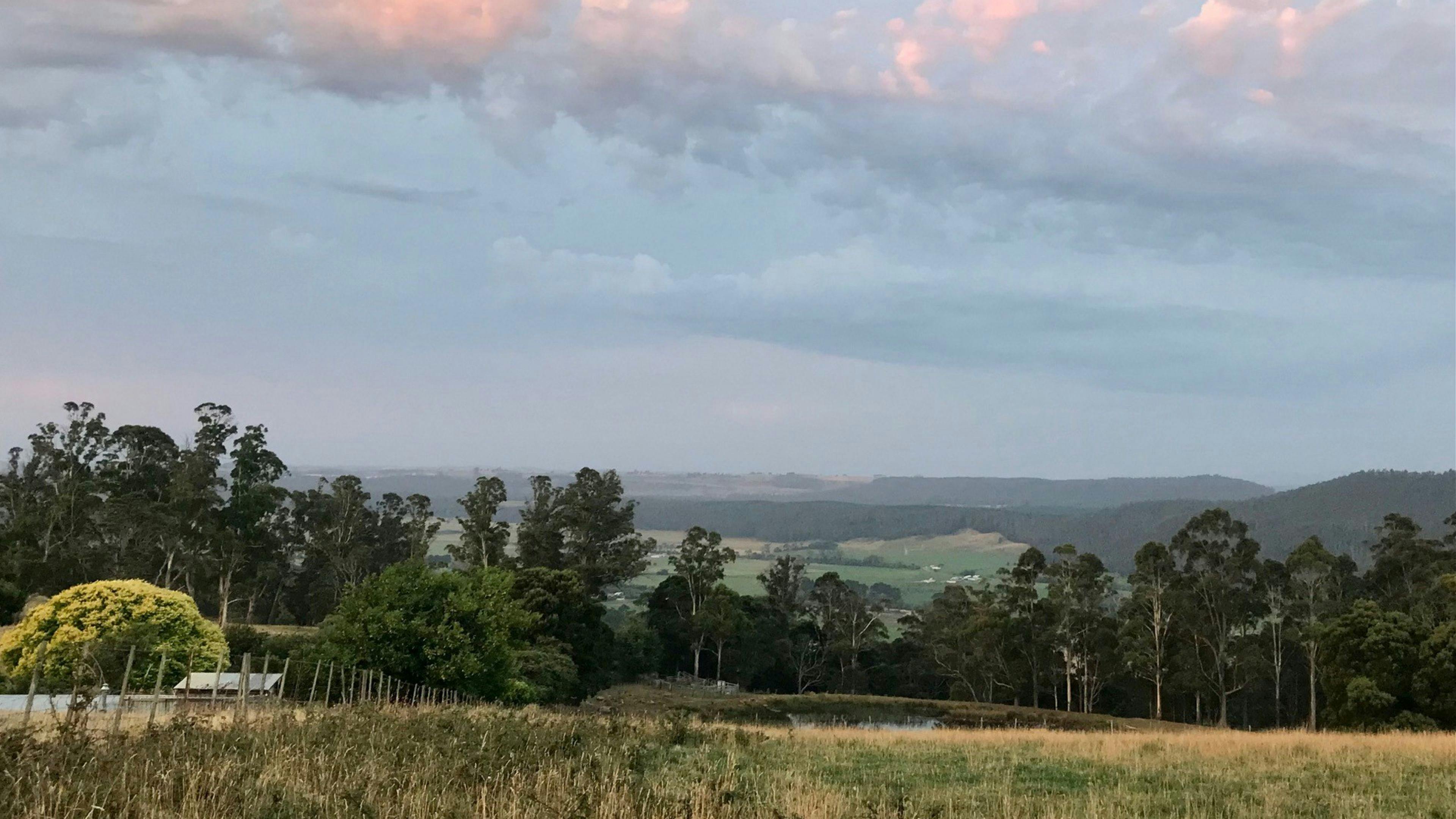 Sunridge Valley Views