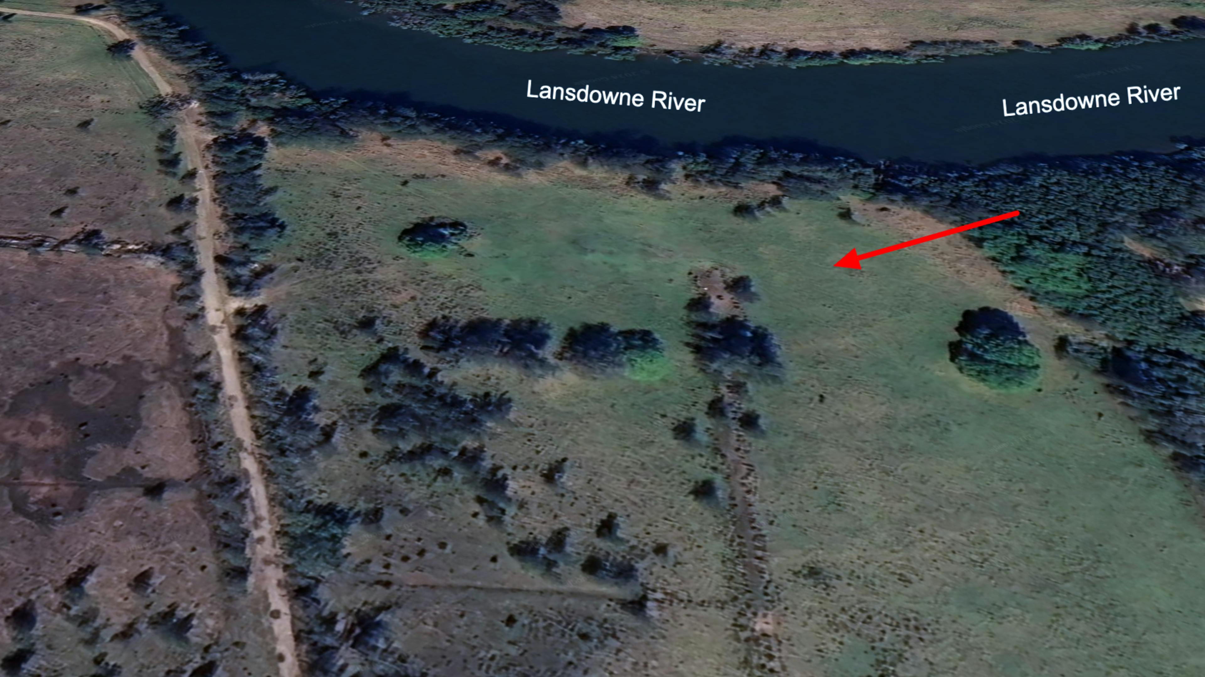 Youngster’s Paddock