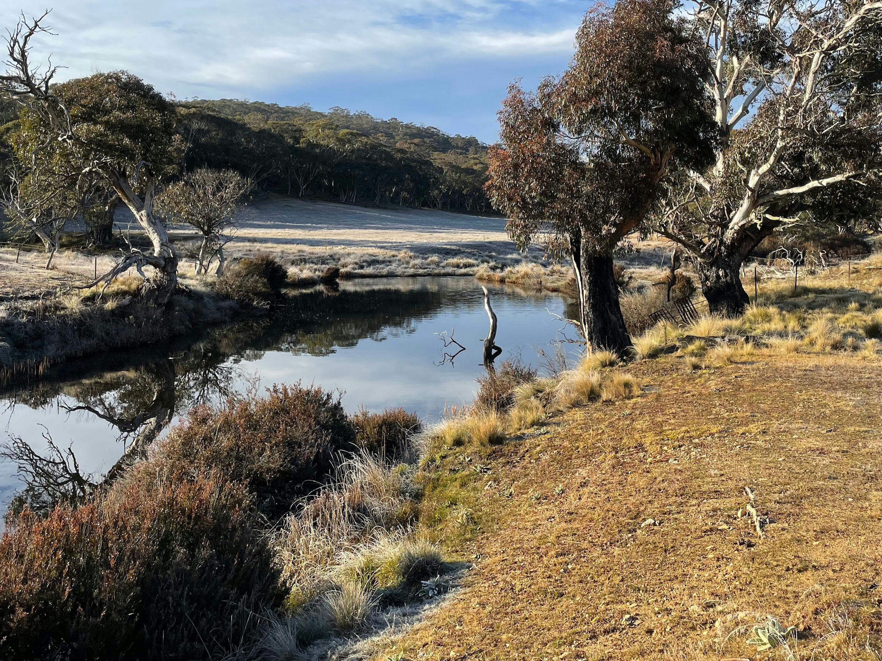 Kallarroo Farm, nr Nimmitabel