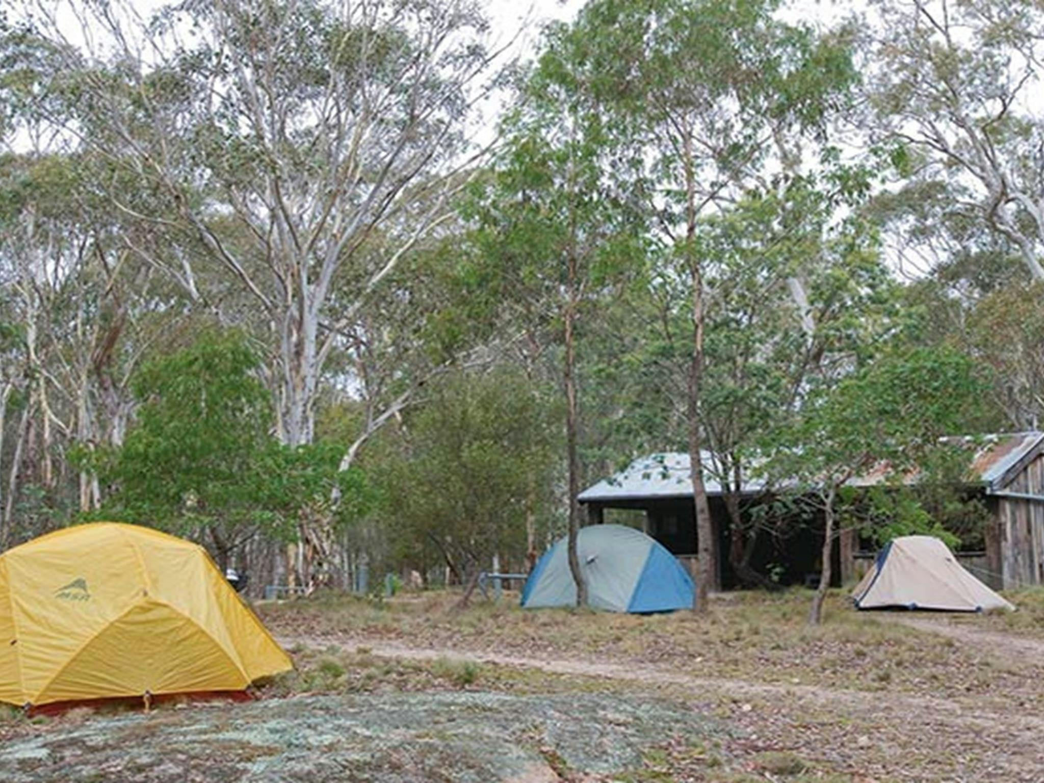Camping beside my vehicle
