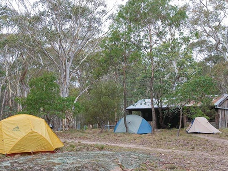 Tents at Boyd River campground, Kanangra-Boyd National Park. Photo: Nick Cubbin &copy; DPIE