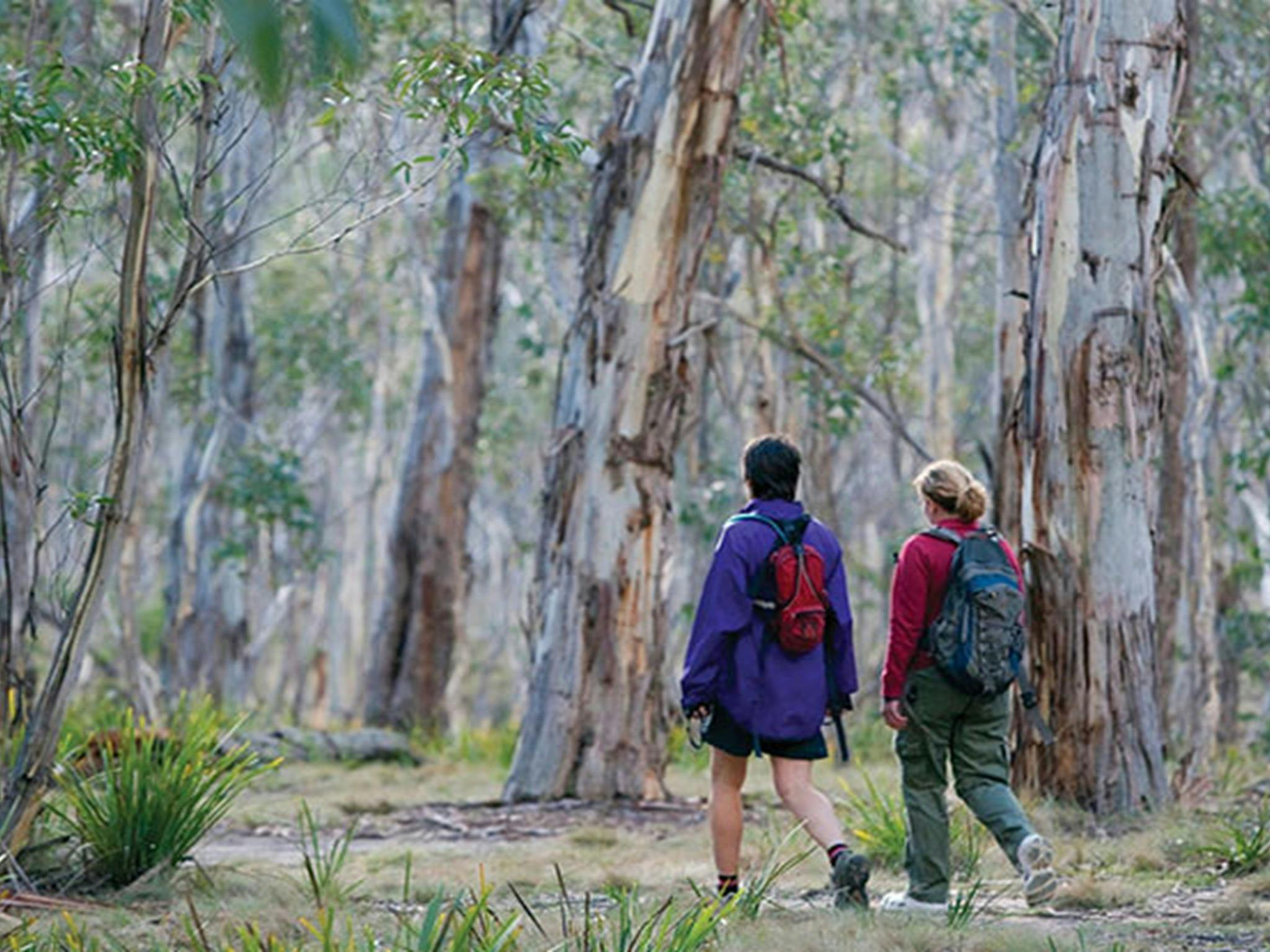 Kanangra-Boyd National Park