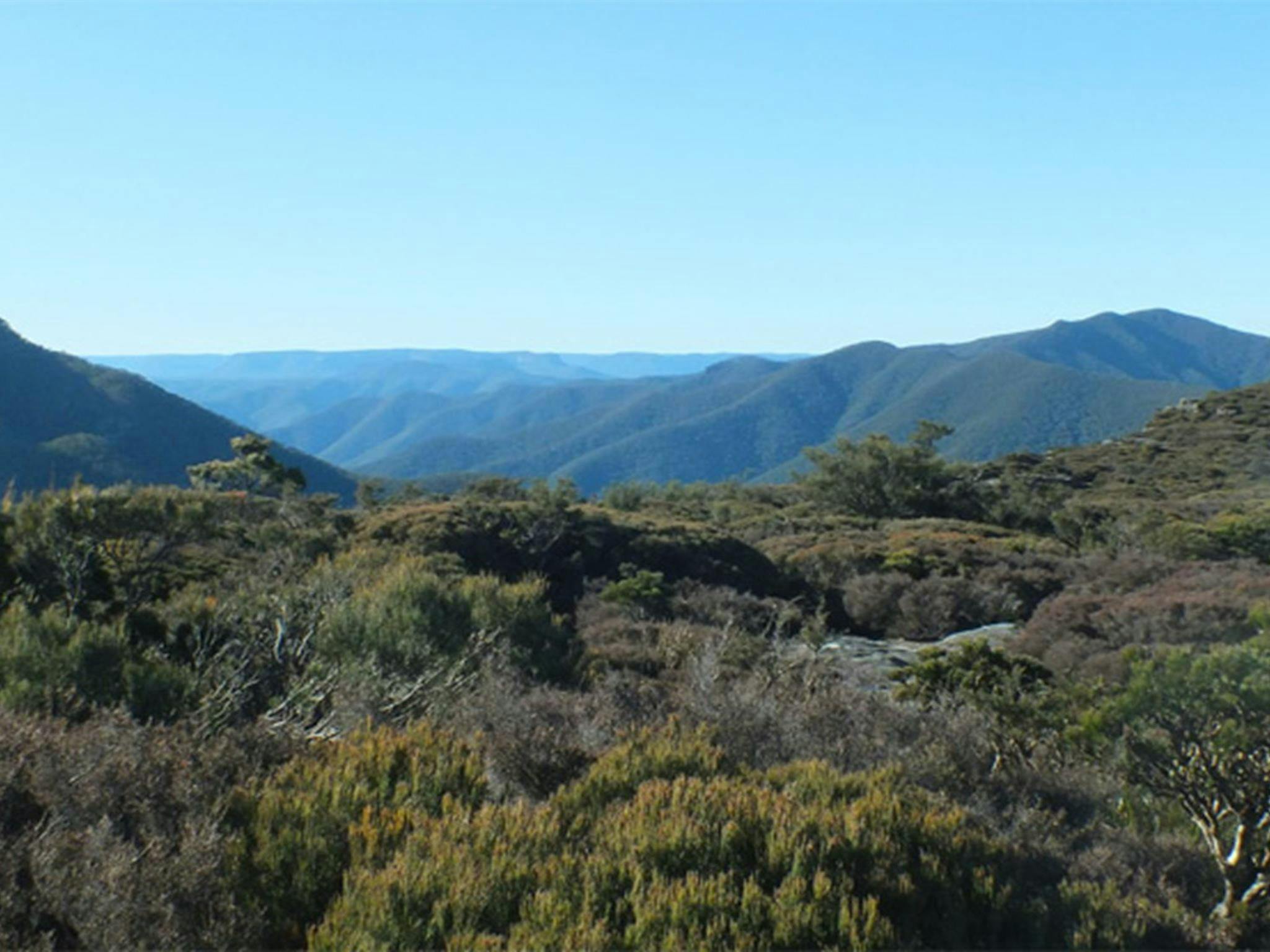 Kanangra-Boyd Lookout, Kanangra-Boyd National Park. Photo: M Jones/NSW Government