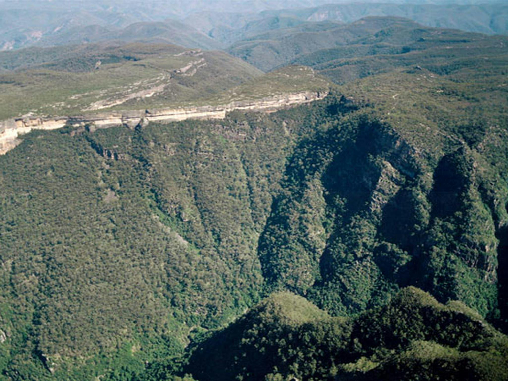 Kanangra-Boyd Lookout, Kanangra-Boyd National Park. Photo: Steve Alton/NSW Government