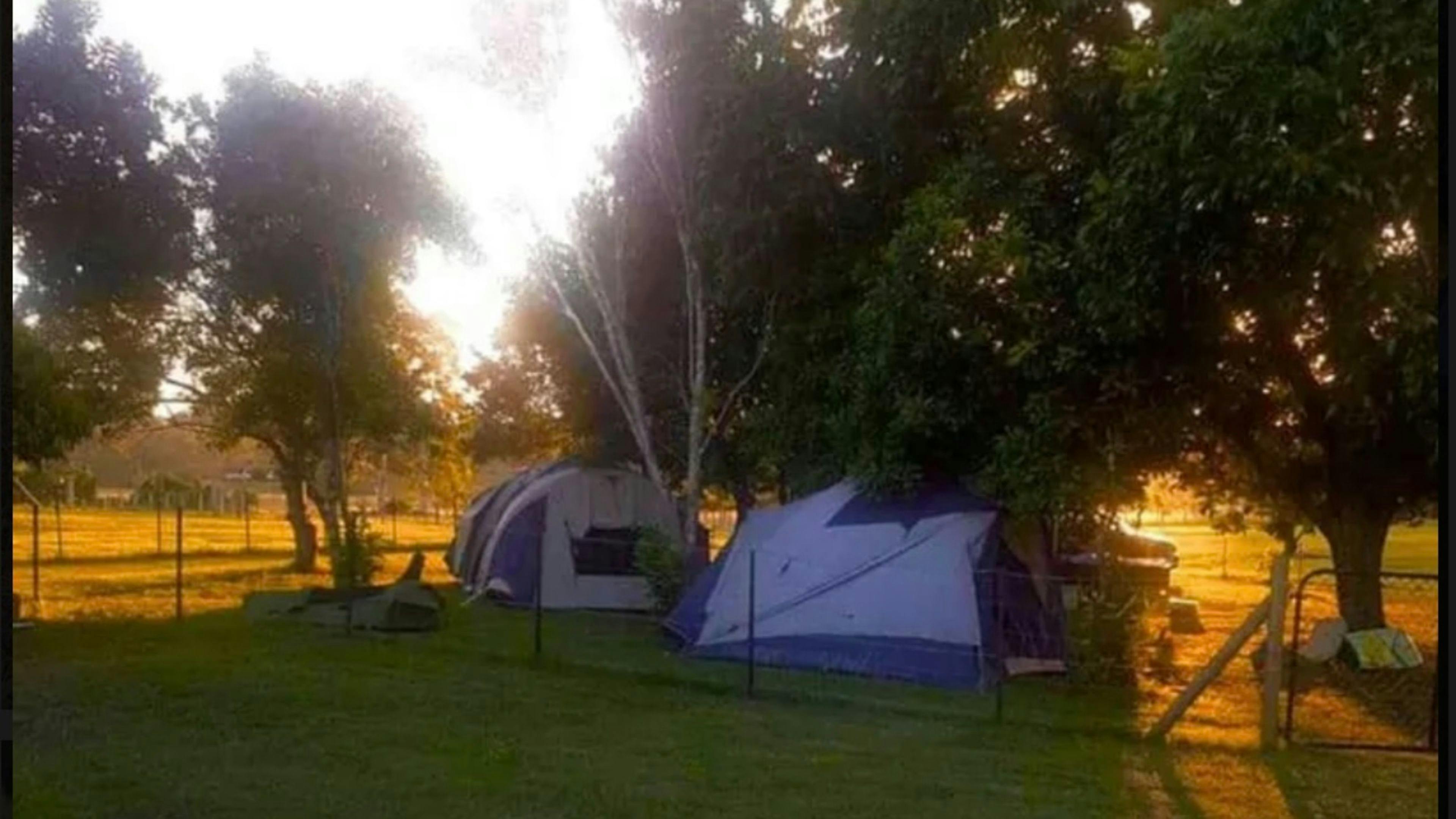 Kandanga Creekside Camping