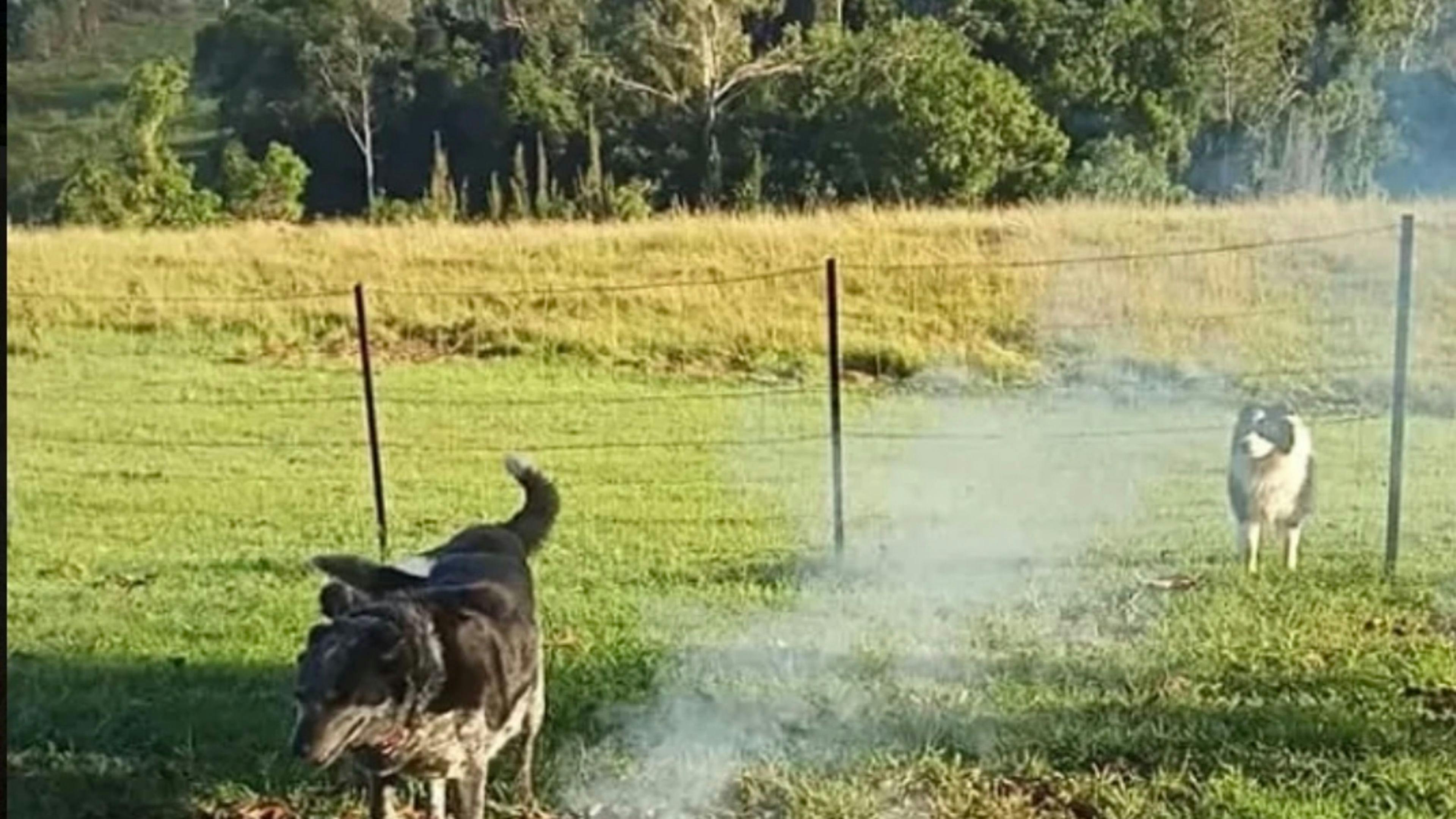 Kandanga Creekside Camping