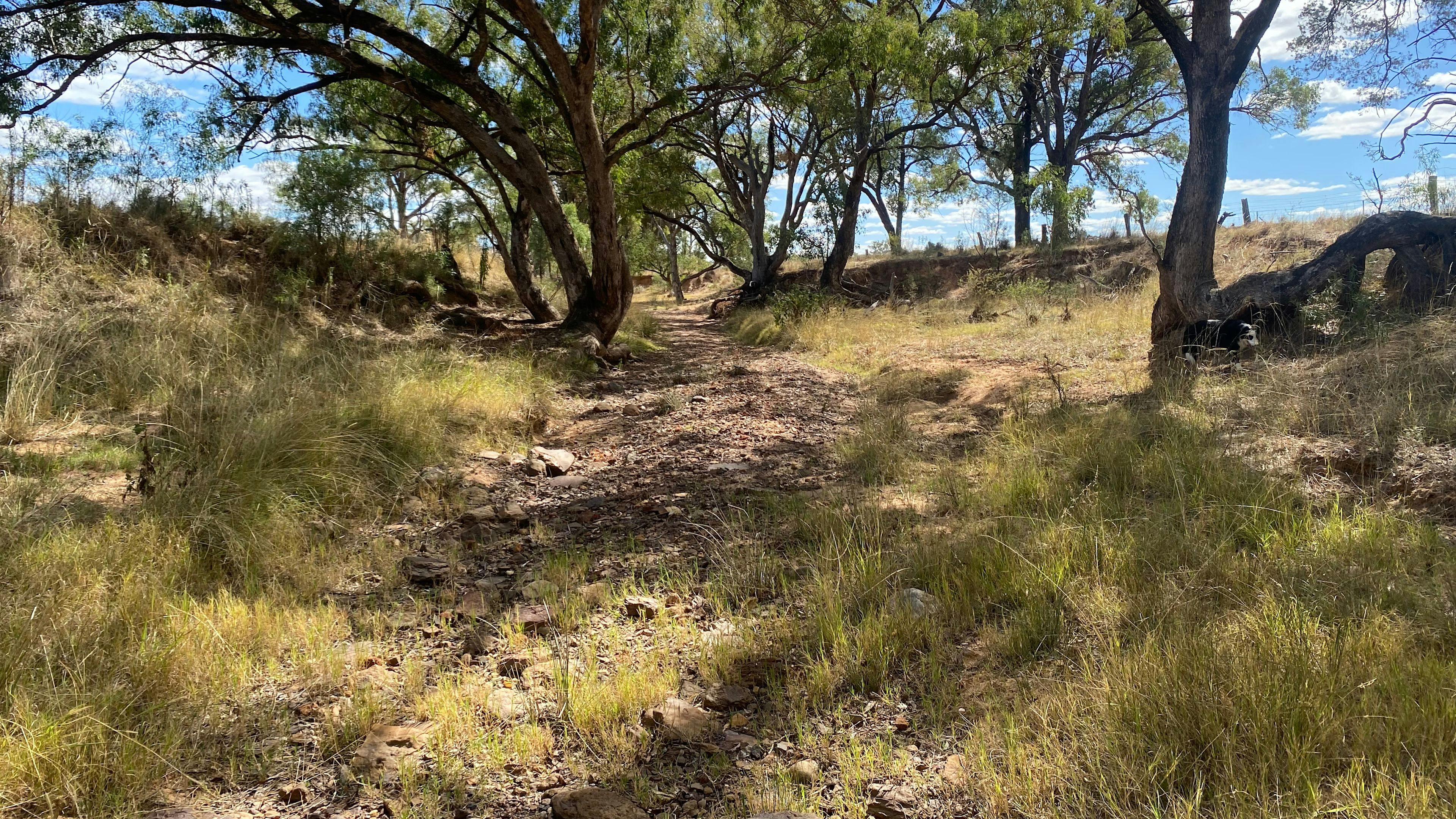 カンガルークリークキャンプダボ