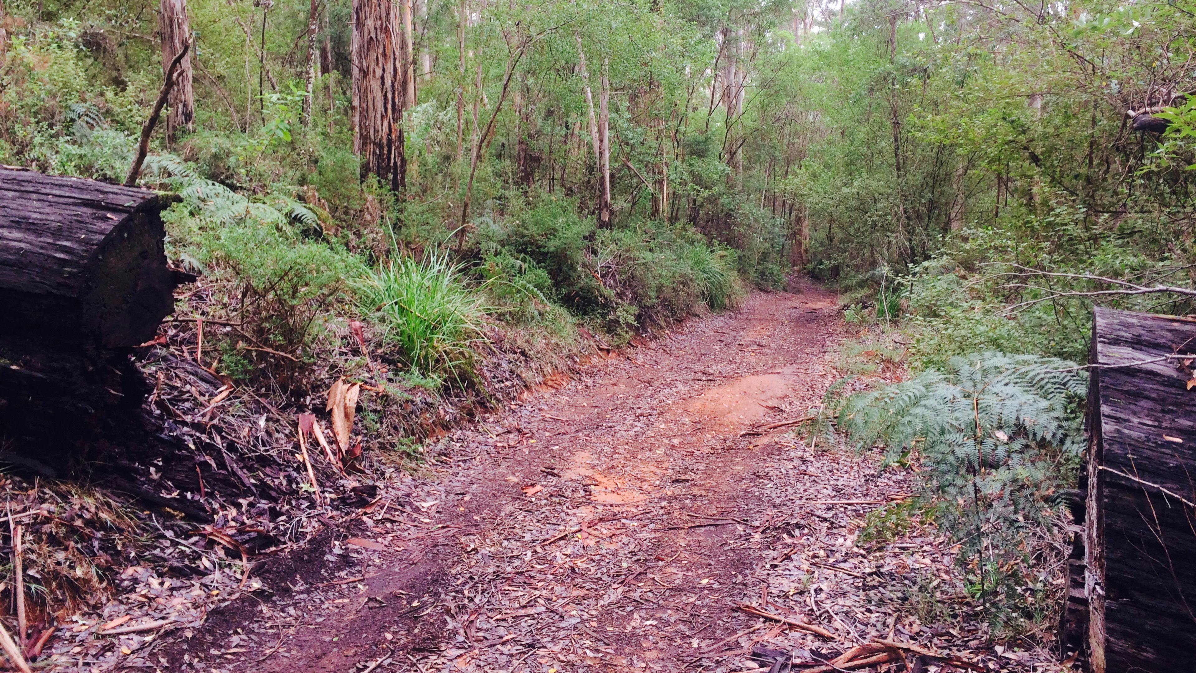 Karri Getaway