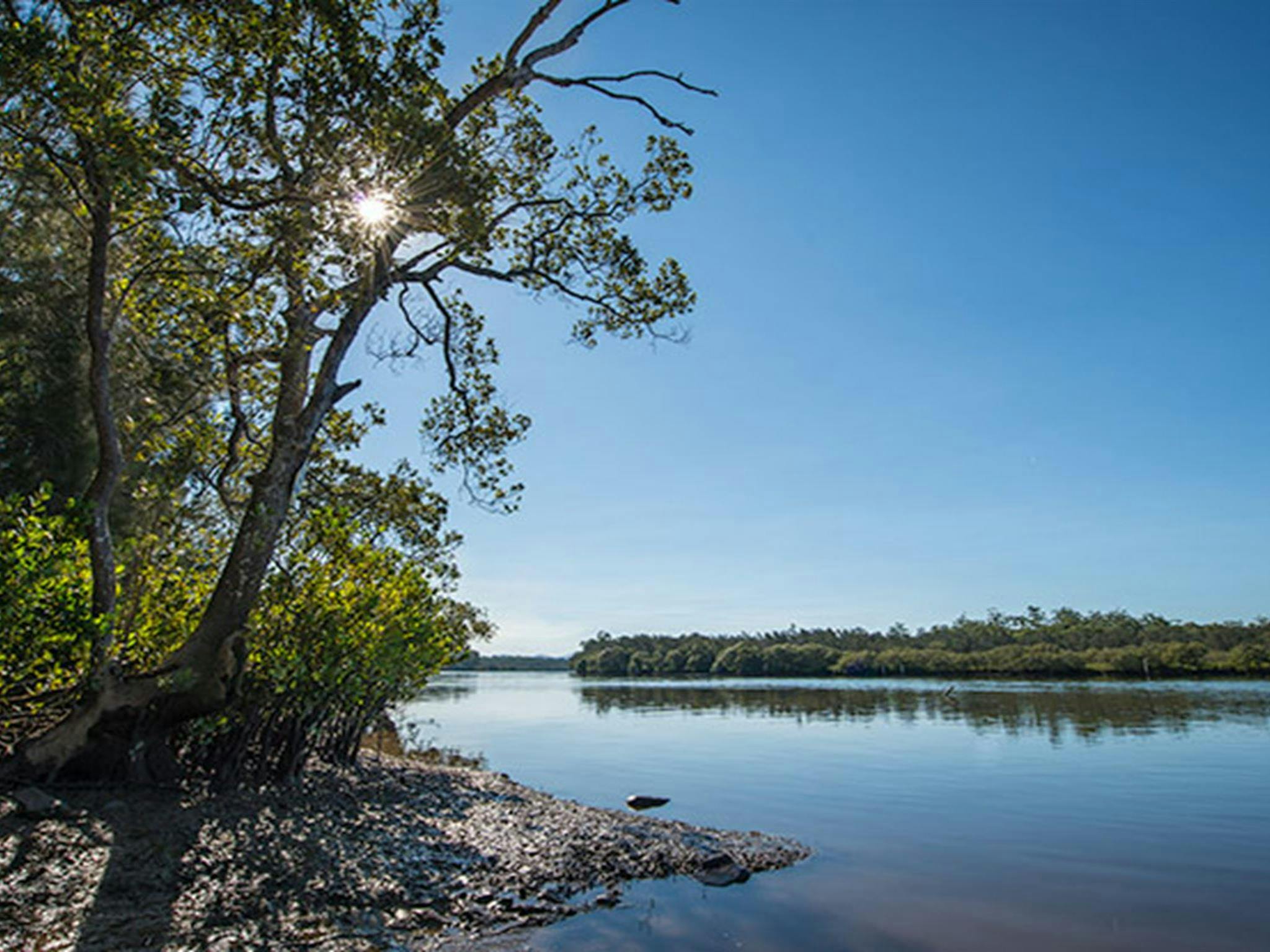Tattersalls Campground, Karuah National Park. Photo: John Spencer/NSW Government