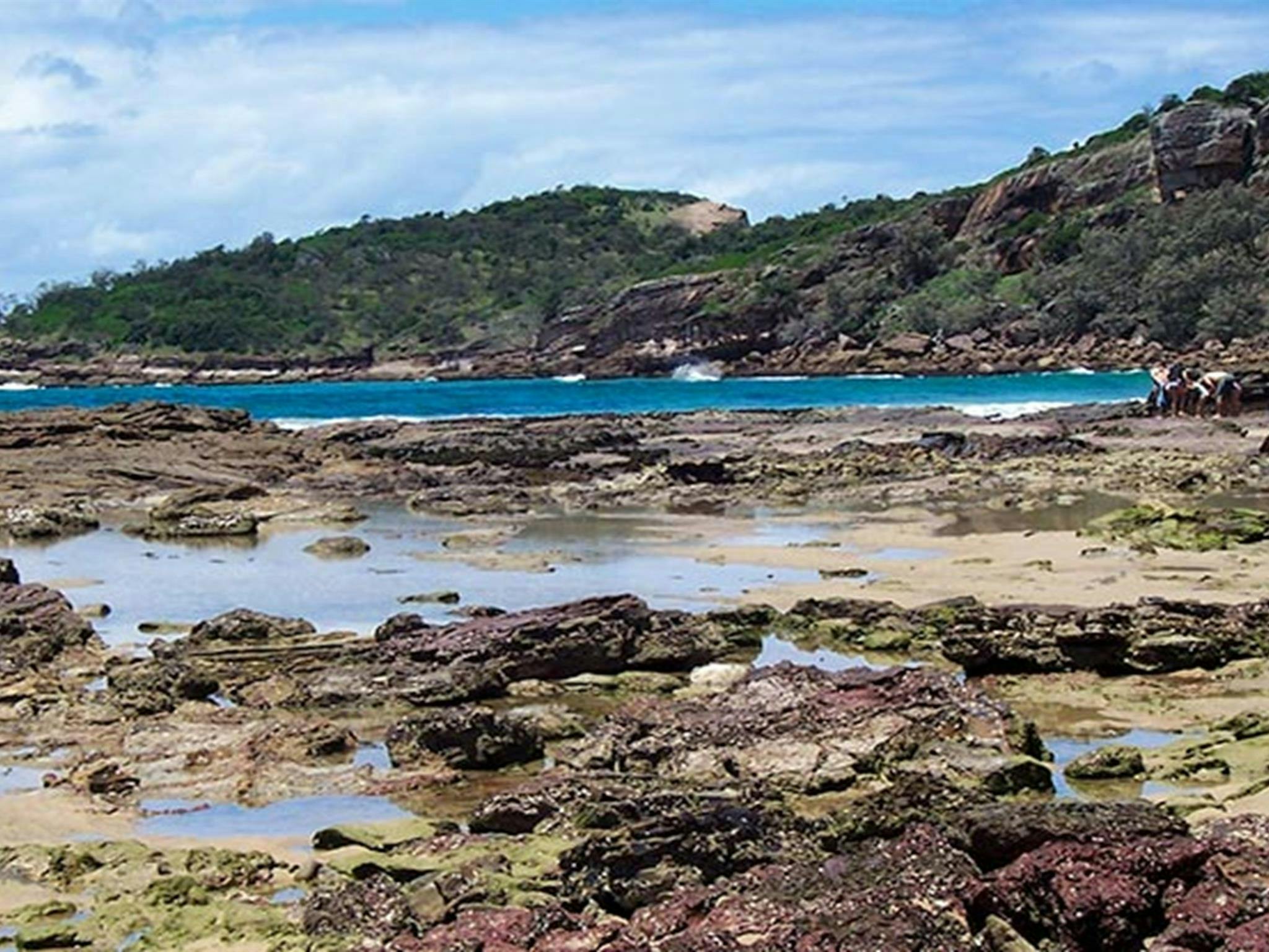 Kattang Nature Reserve: Photo: NSW Government