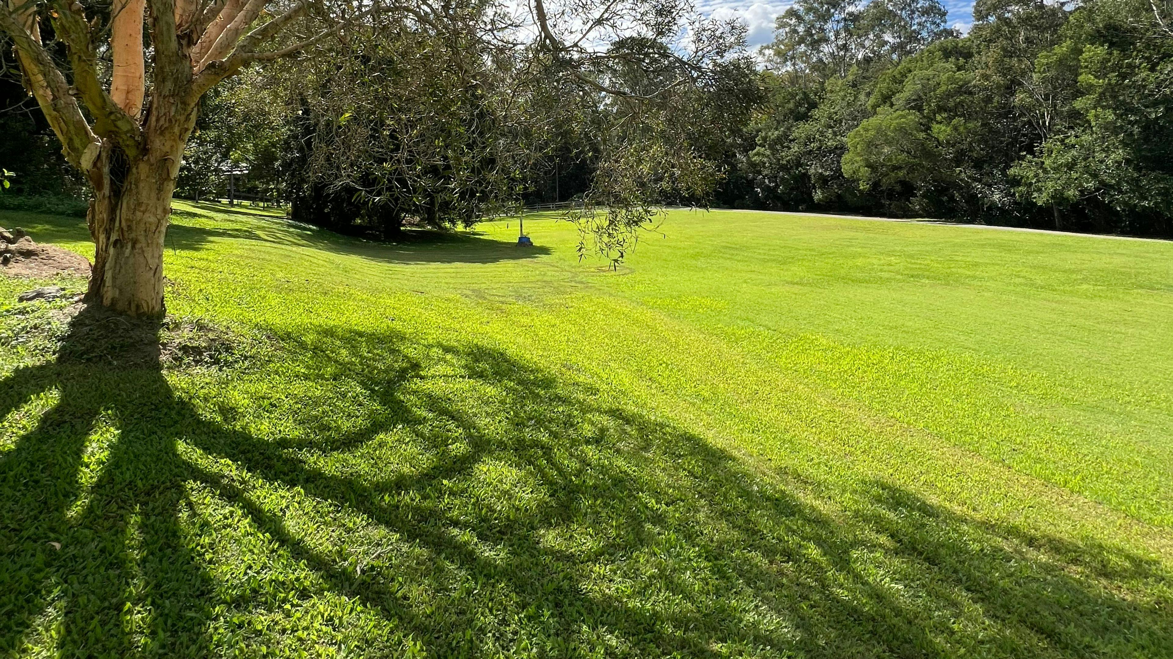 The Enchanted Paddock