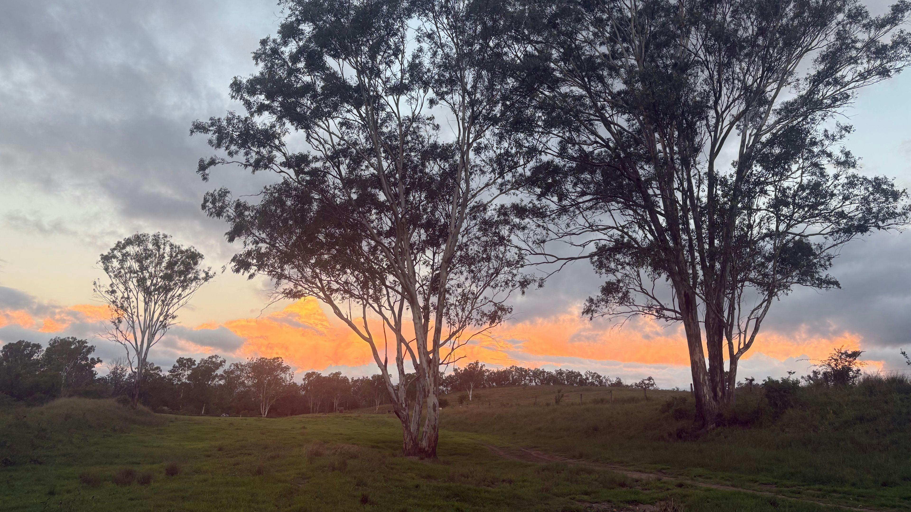 Rockview Farm