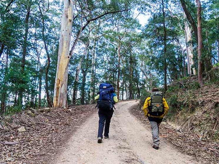 A couple with backpacks walk a fire trail to Kedumba River Crossing campground, Blue Mountains