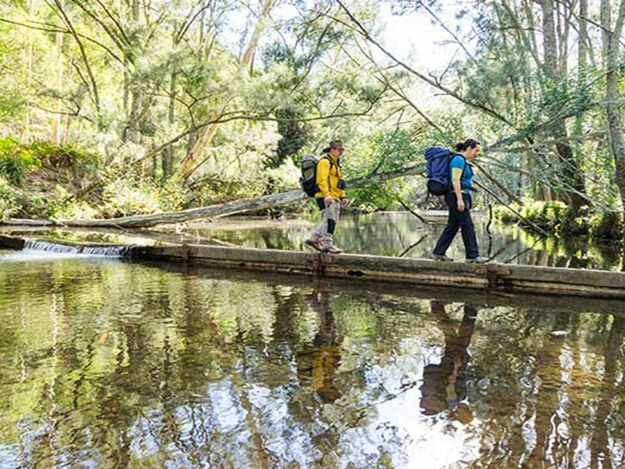 Wanderer überqueren den Kedumba River im Blue Mountains Nationalpark. Foto: Simone Cottrell/OEH