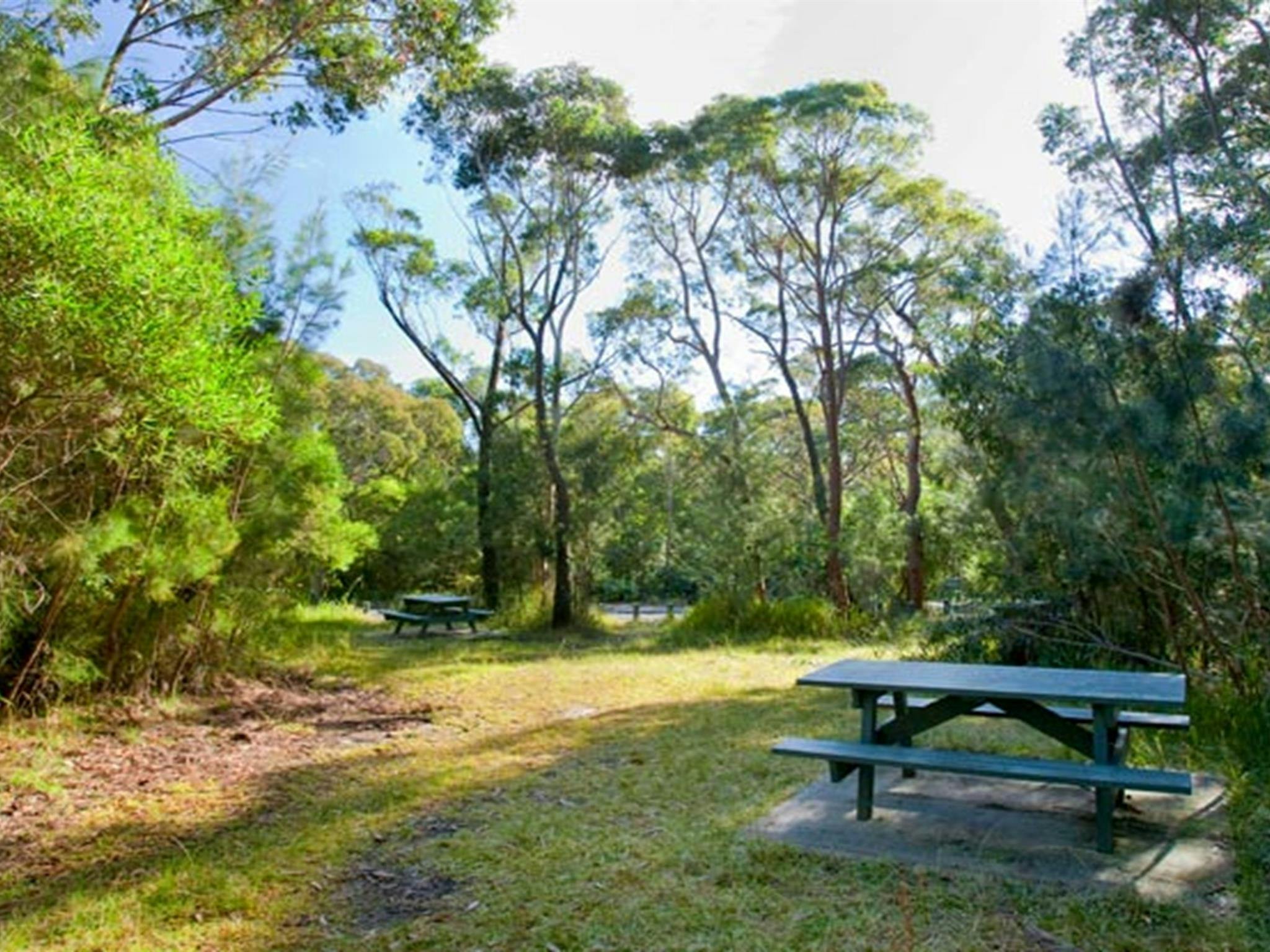 Picknickplatz an den Kellys Falls