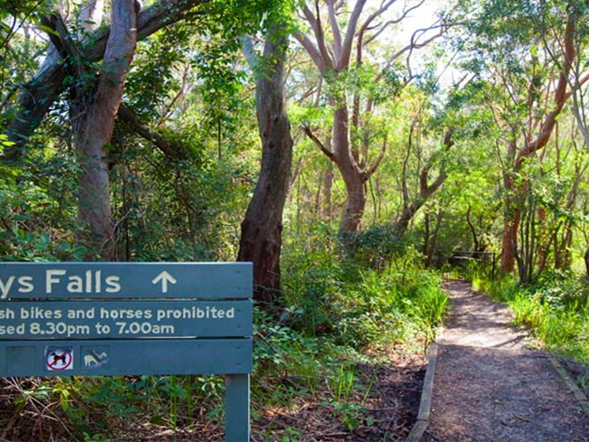 Kellys Falls picnic area, Garawarra State Conservation Area. Photo: Nick Cubbin &copy; OEH